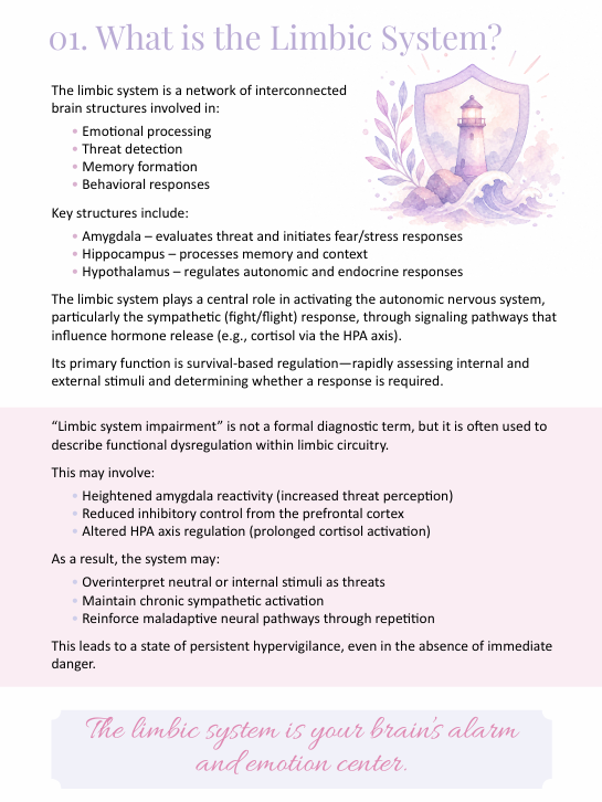 Chapter: What is the Limbic System?