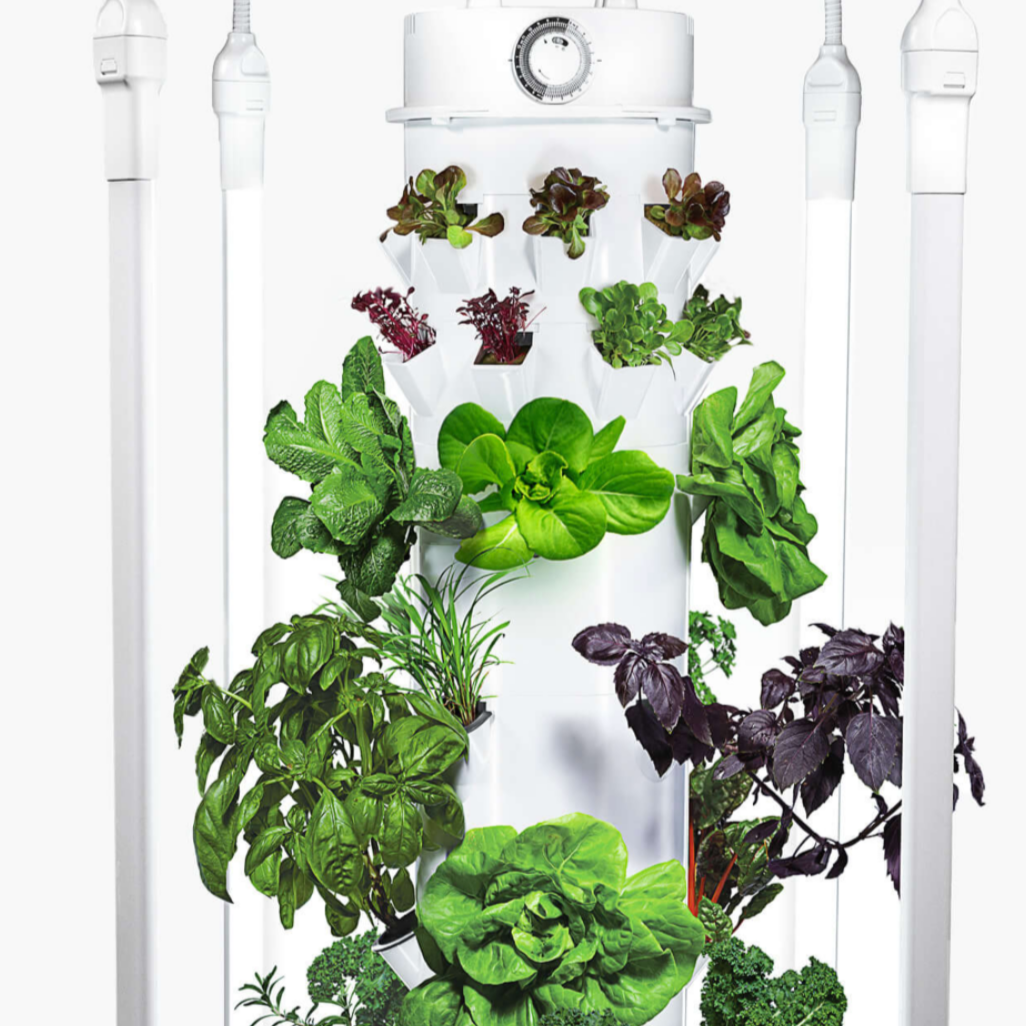 Indoor hydroponic garden with various green and purple leafy plants, including lettuce, basil, and herbs, housed in a white vertical tower with a timer and connected white tubes.