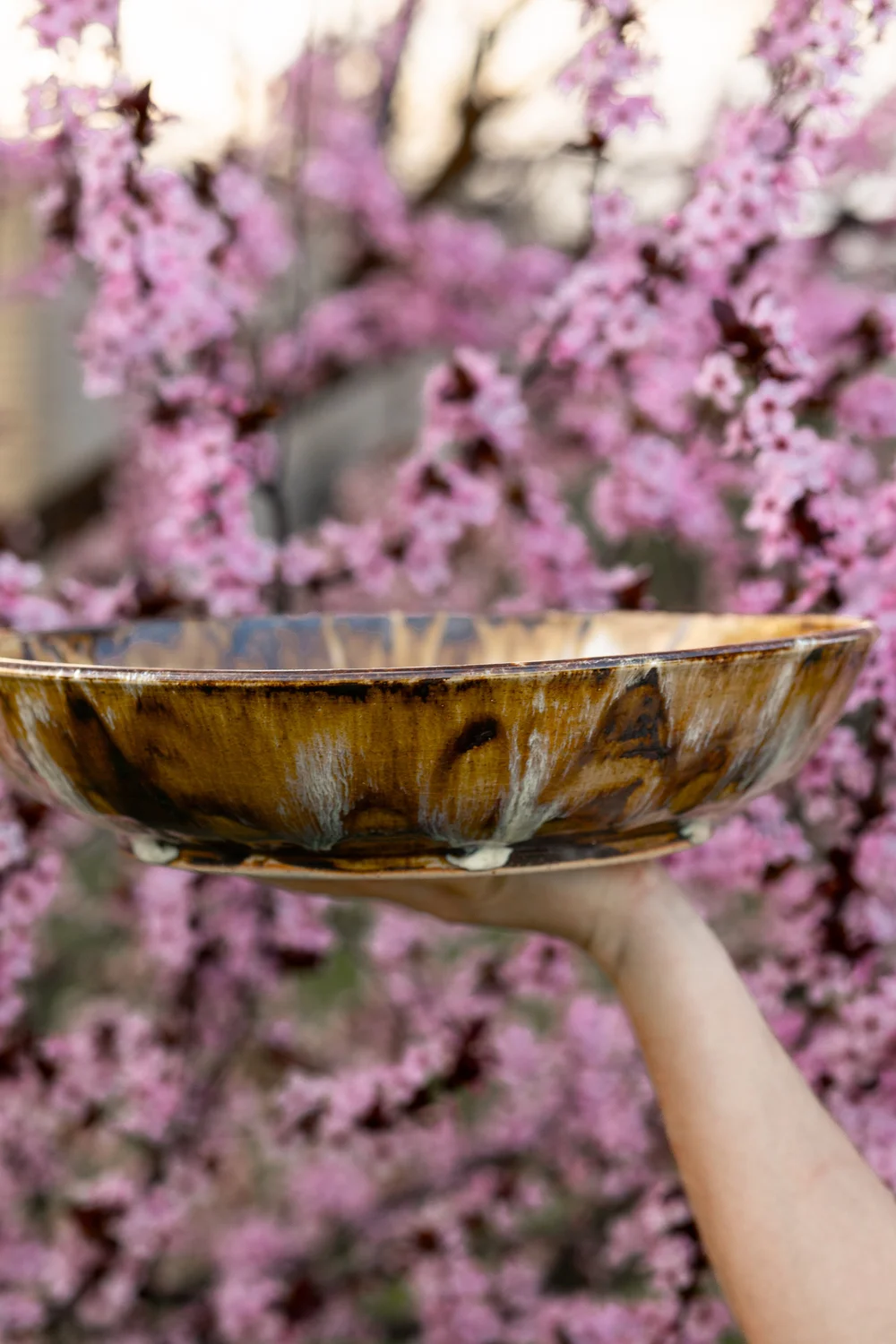 Numoku Bowl