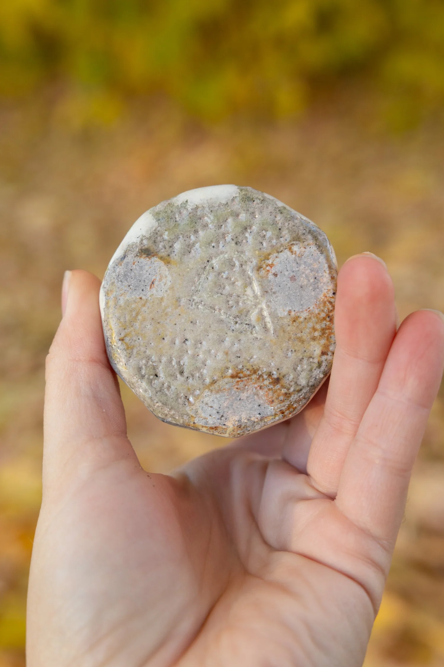 Hand holding a round fired test disc of wild clay