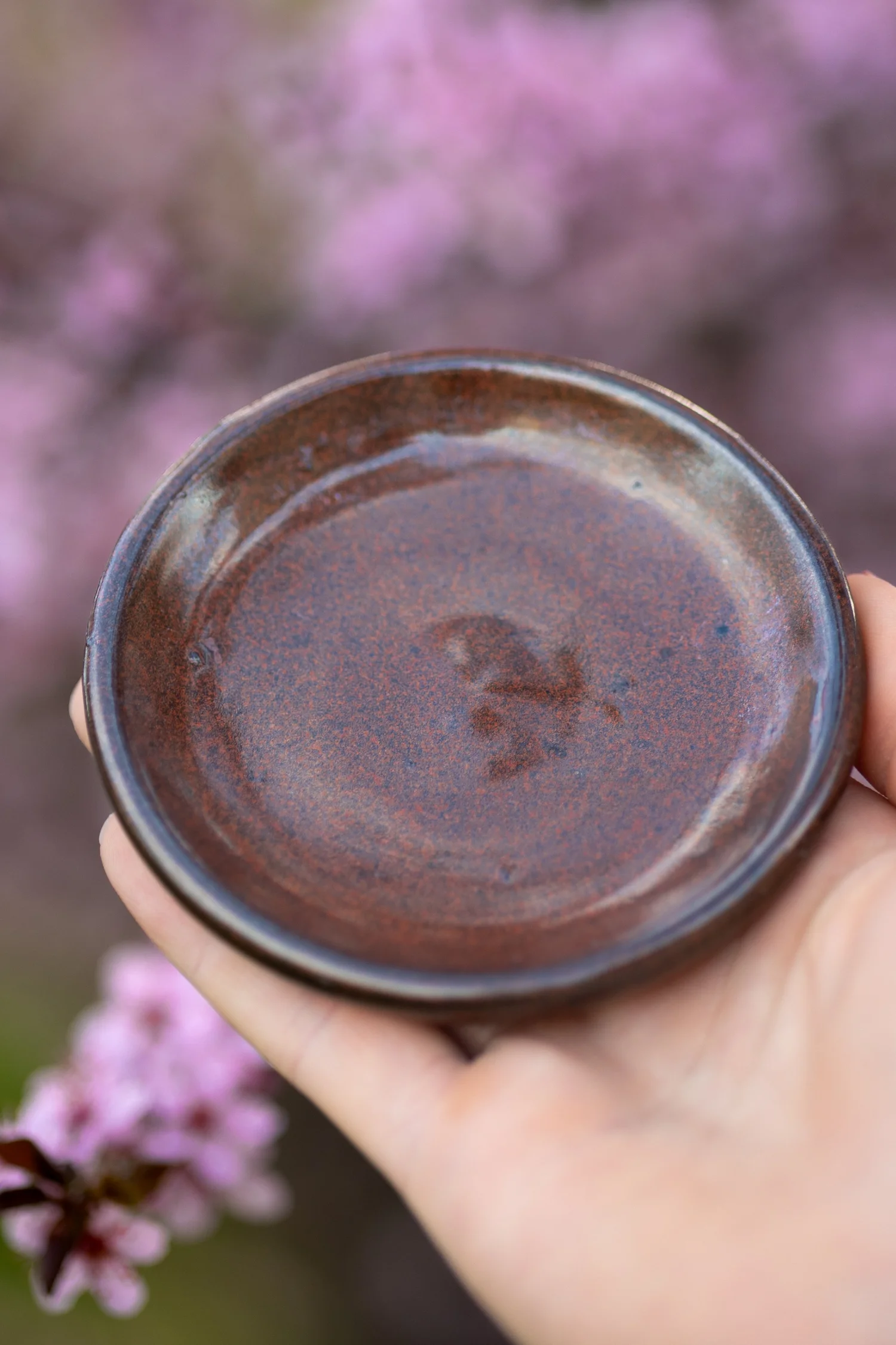 The Red Everyday Dish held up against spring blossoms