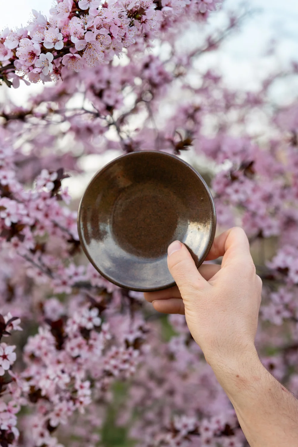 A hand holding a small stoneware bowl against blossoms