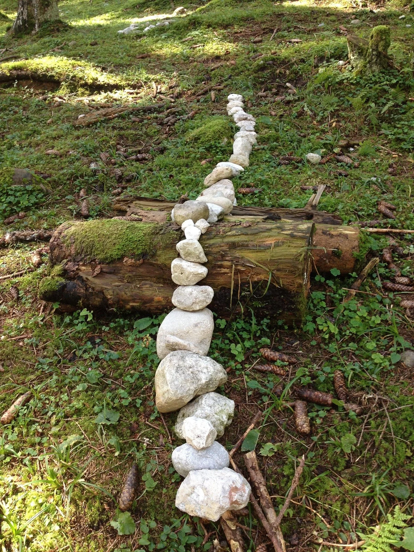 A trail of white rocks arranged vertically in a forest setting with moss-covered logs and green foliage around.