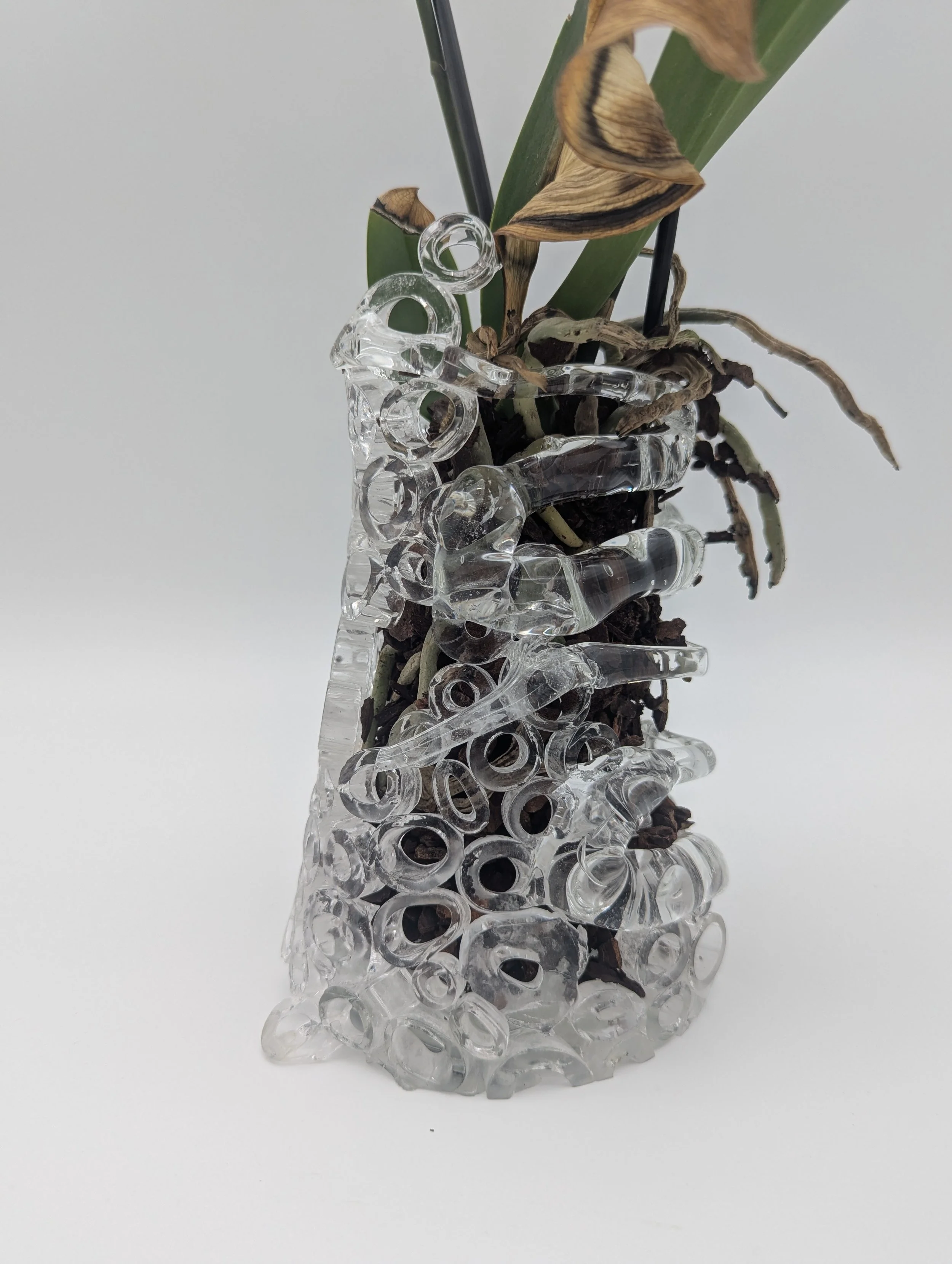 PXL_20251211_163537876 (1).jpg