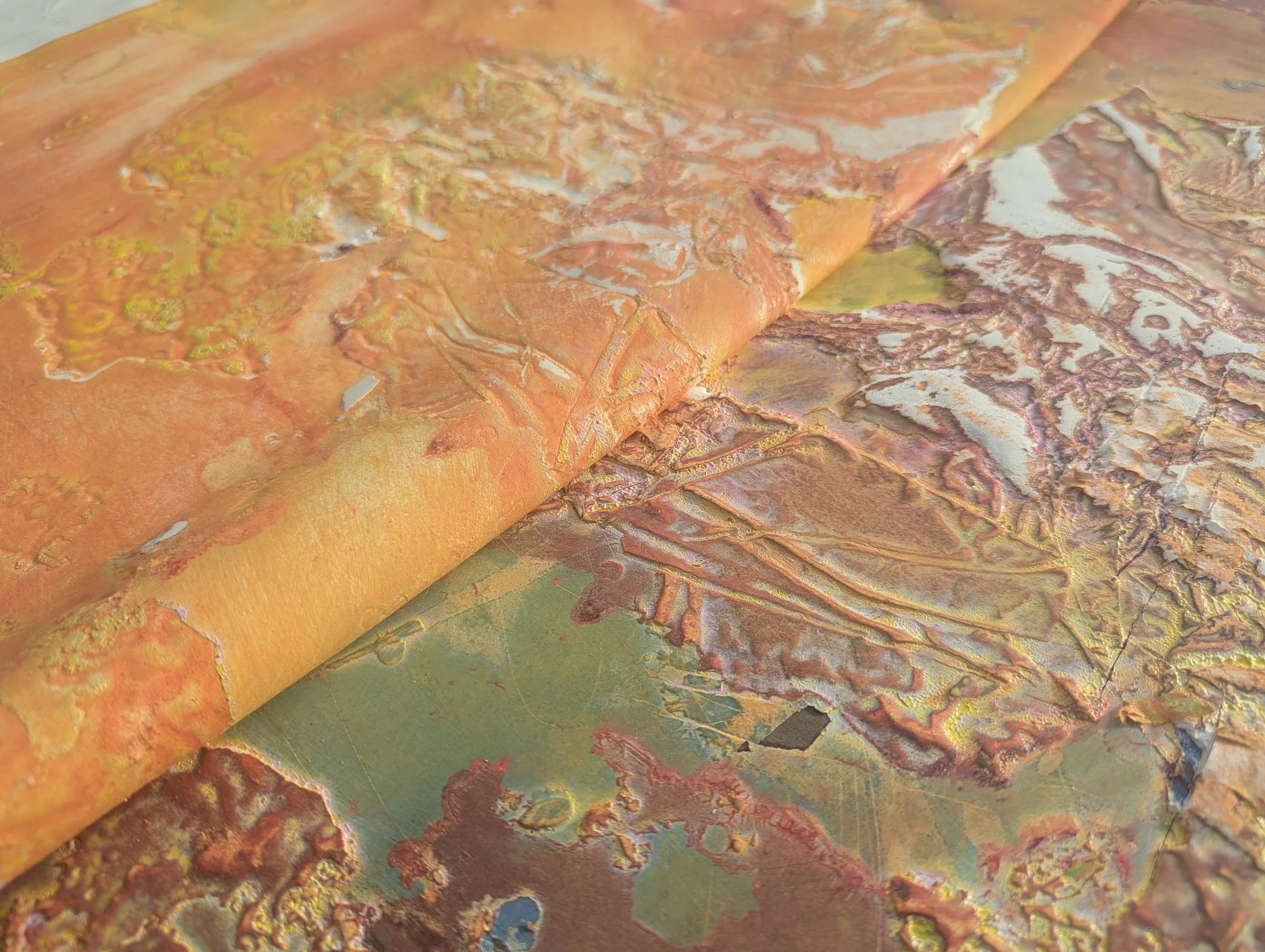 PXL_20250117_201825444 (1).jpg