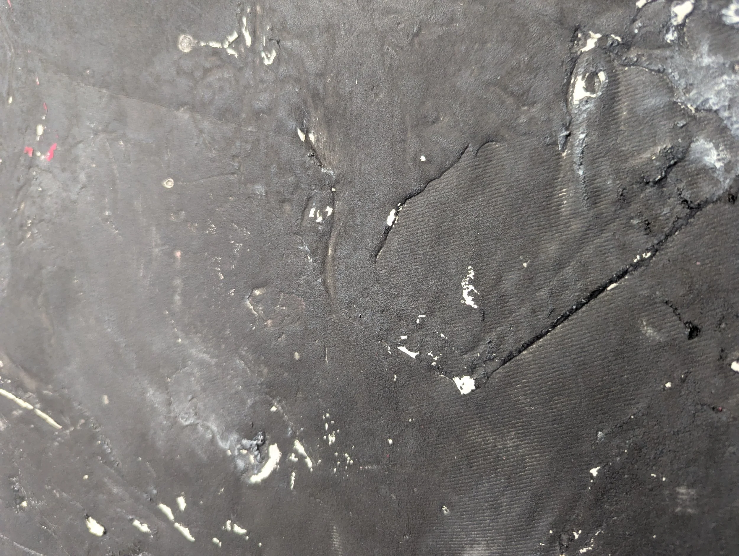 PXL_20250220_004101995 (1).jpg