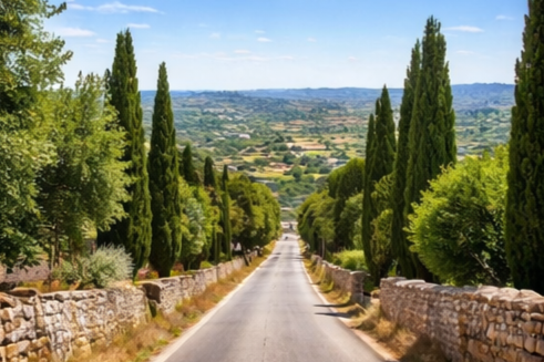 puglia-road-cypress-valley-view