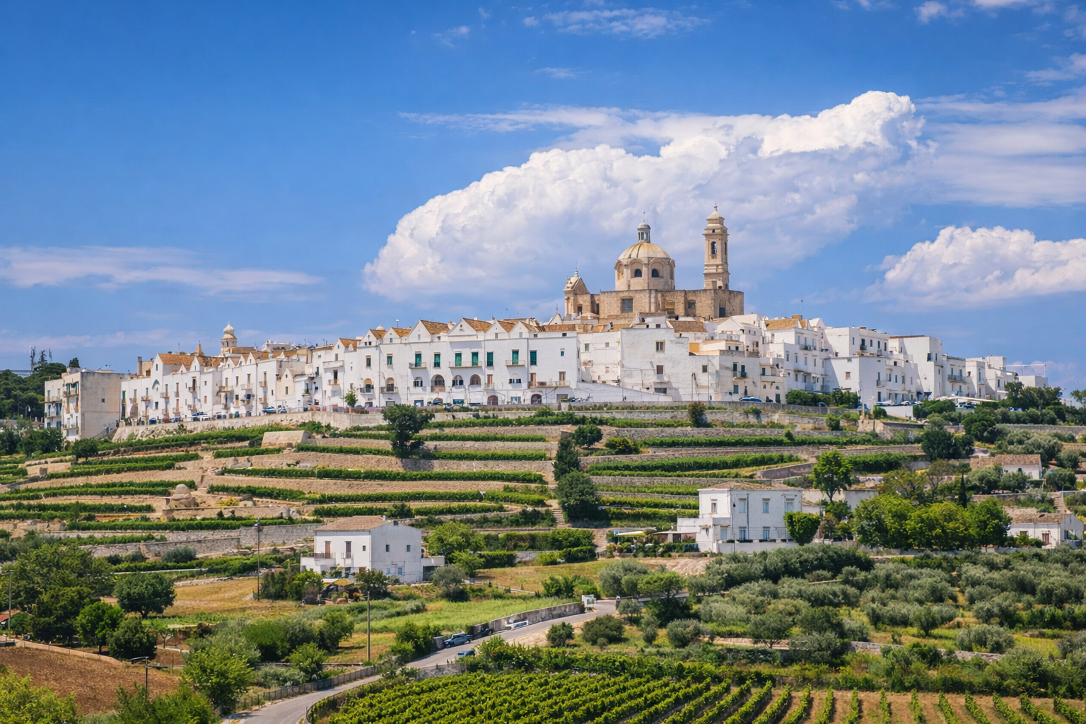 Panoramic view of Locorotondo, a white hilltop town in Valle d’Itria, Puglia, surrounded by vineyards and olive groves under a blue sky.