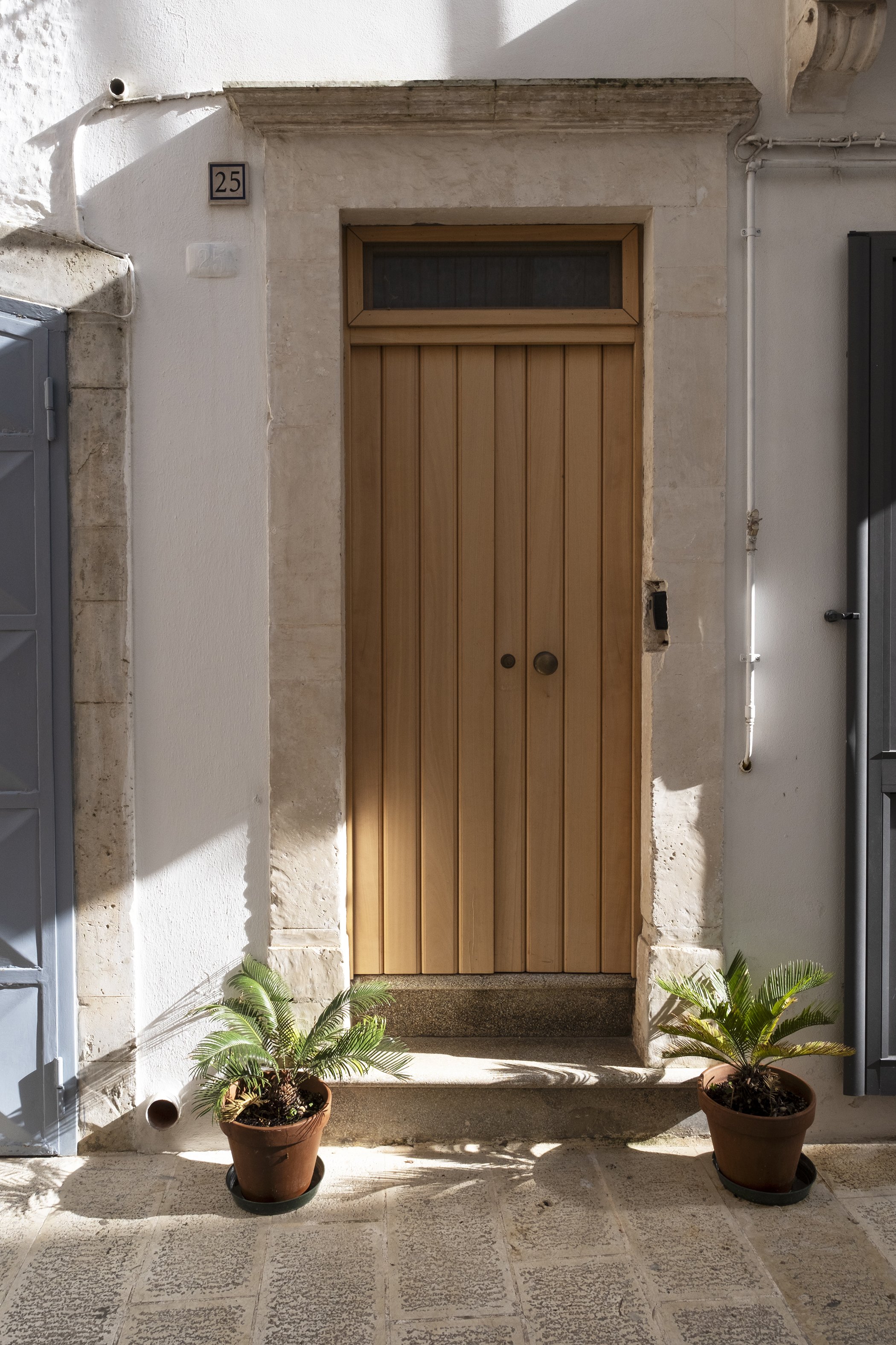 Front door of a building with a wooden door and a transom window above, flanked by white walls, with two potted plants on the ground in front.