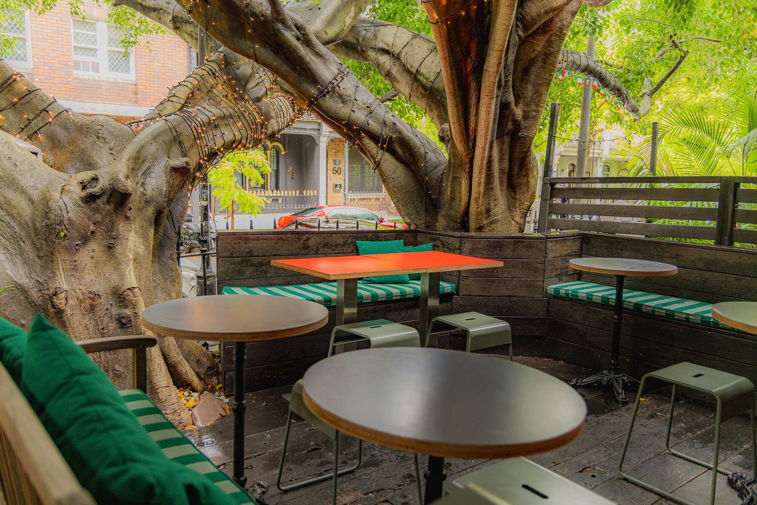 Arms Length_Feb26_Low Res_ Credit Jorge Santos-1.jpg