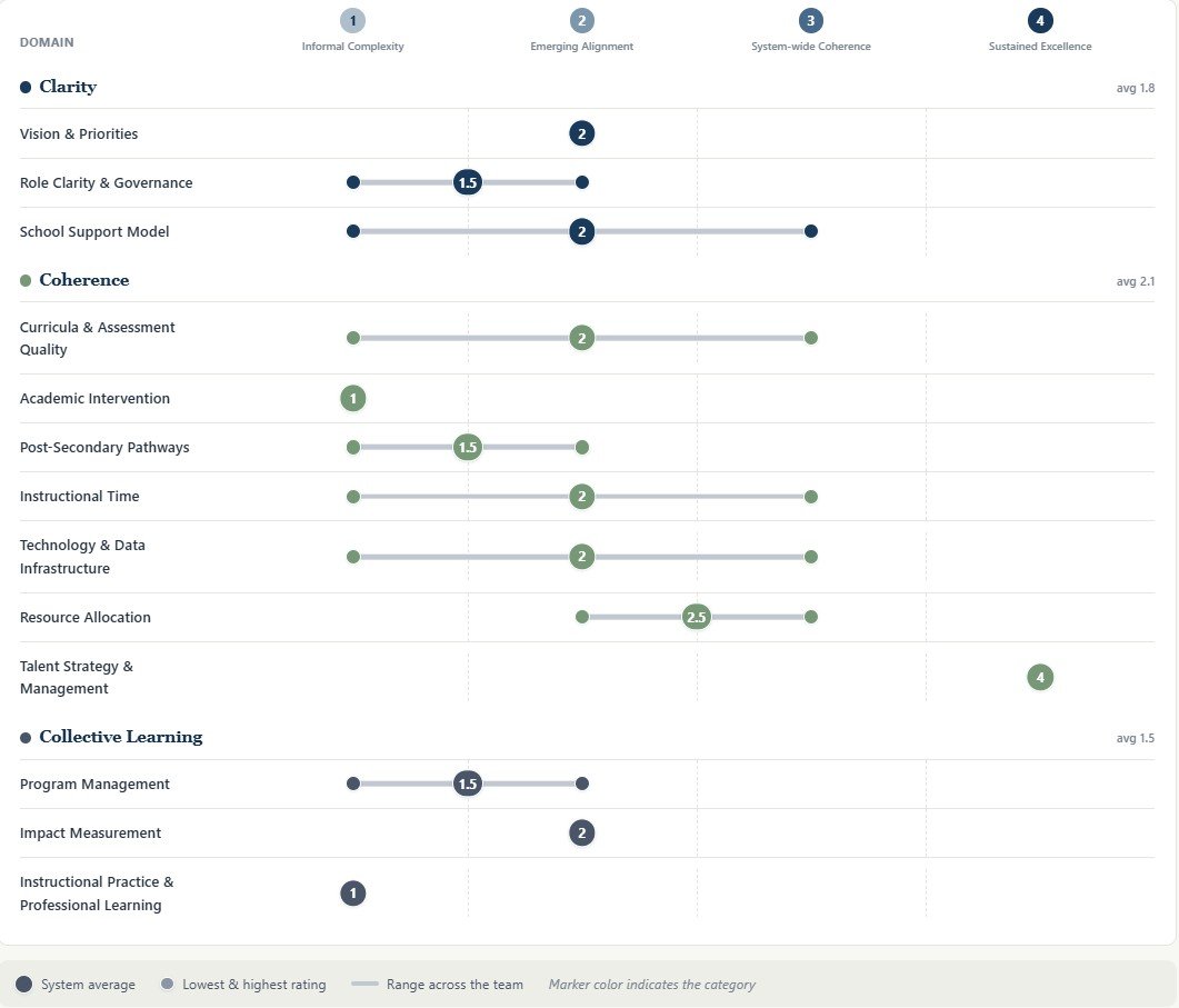 Sample Capacity Profile showing team ratings across the 13 domains