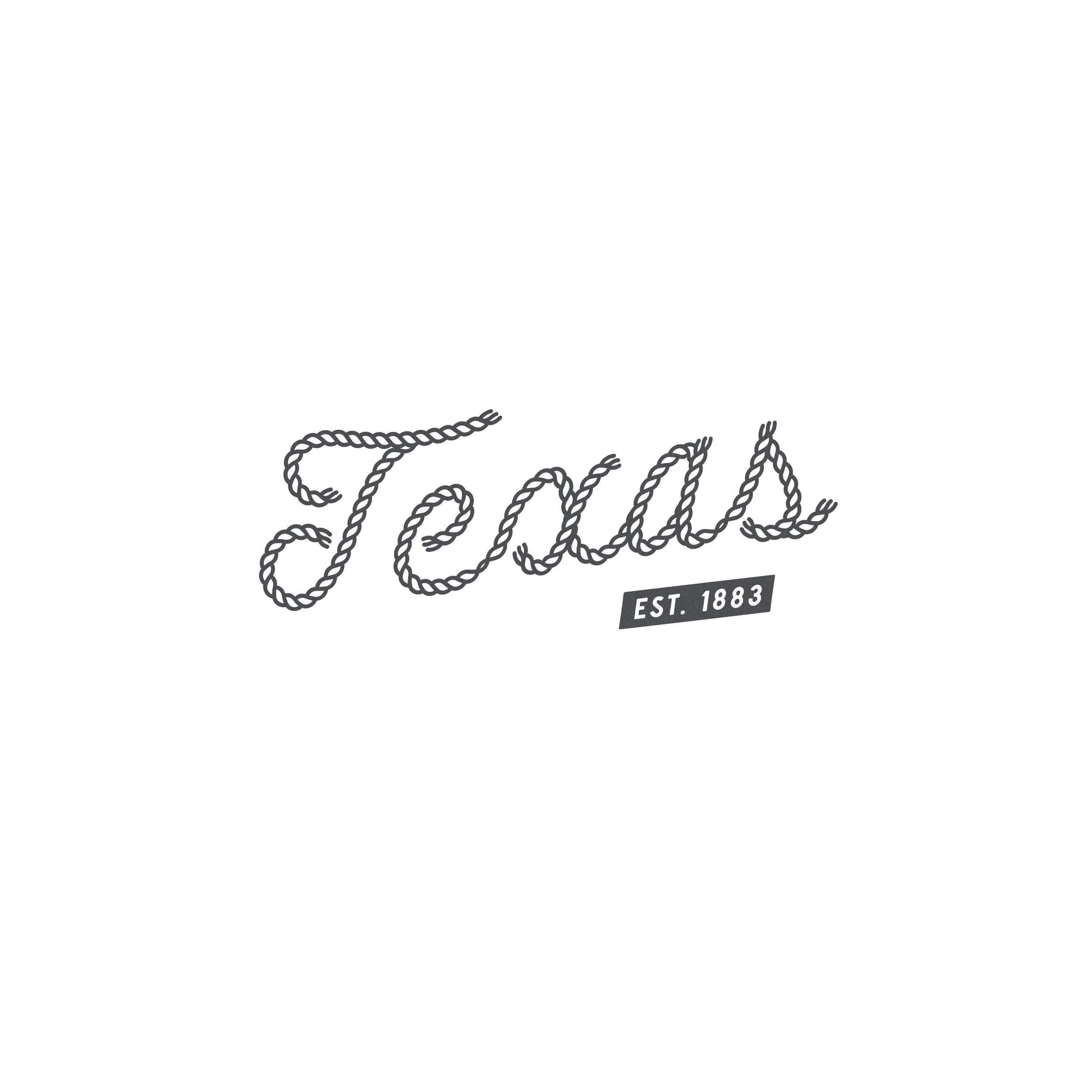 H&V_University-Of-Texas-At-Austin_Logo-Concept_9.jpg