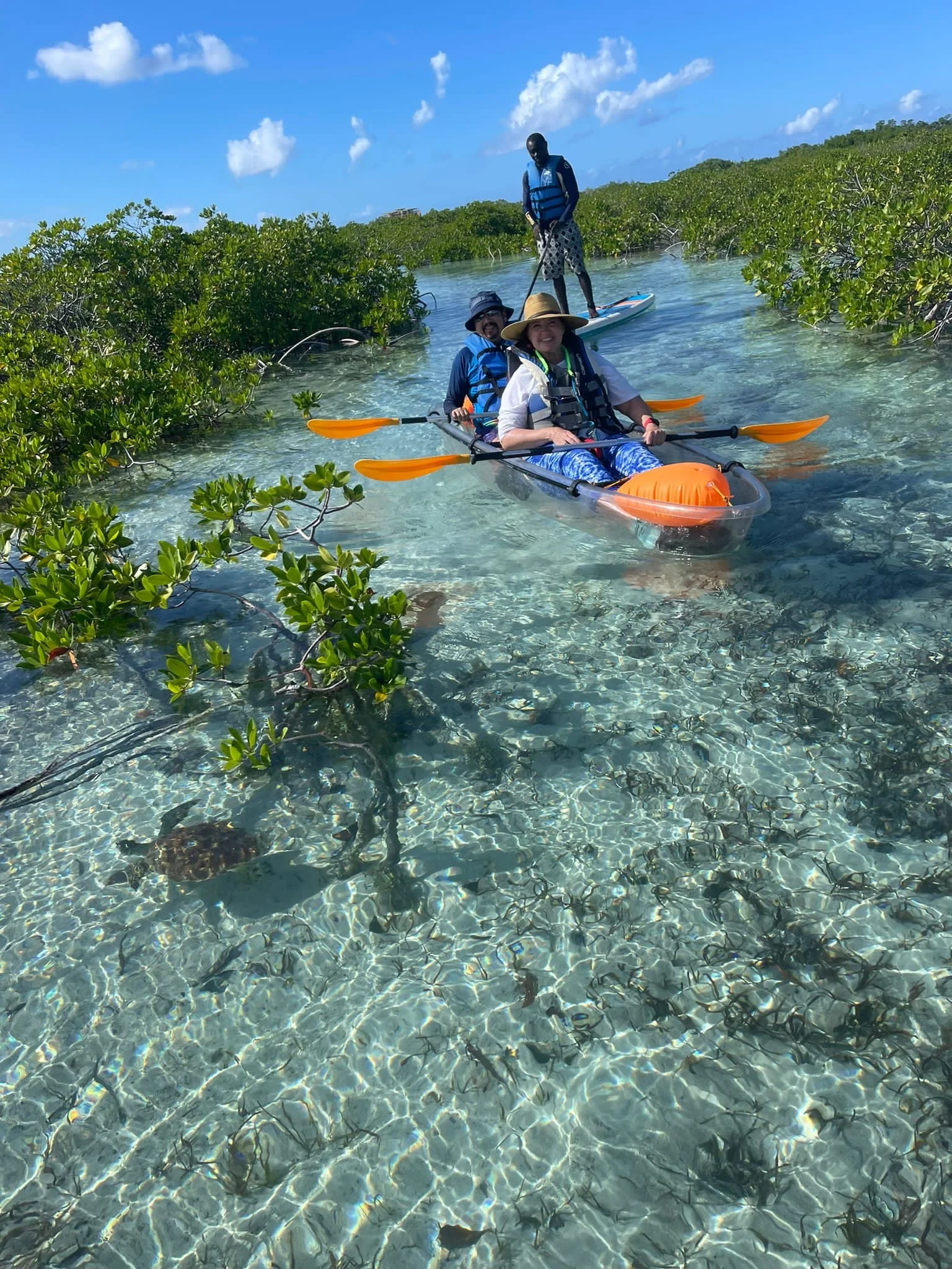 Couple kayaking through mangroves in Turks and Caicos in a clear bottom kayak