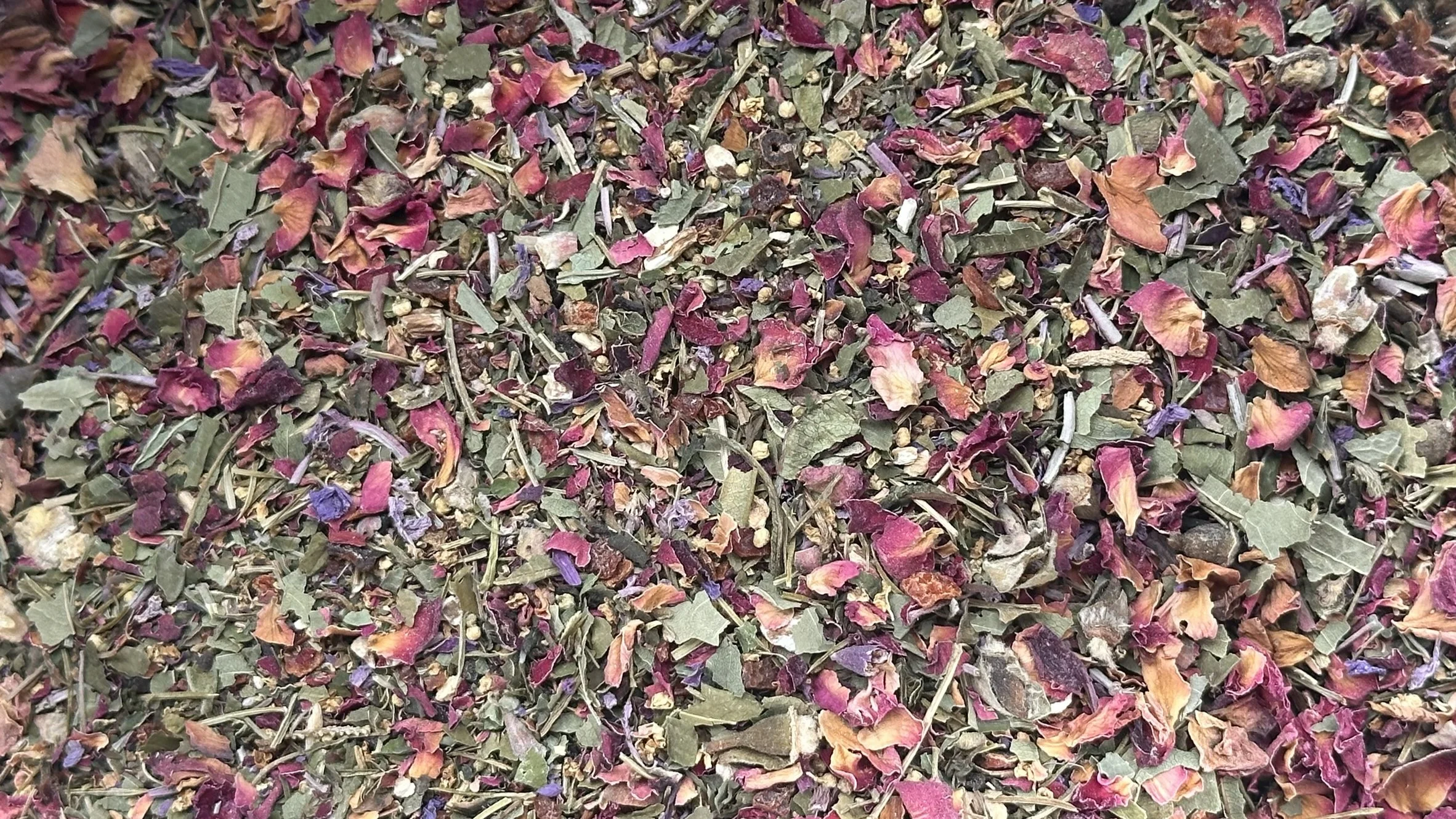 Elizabeth blended1.JPEG