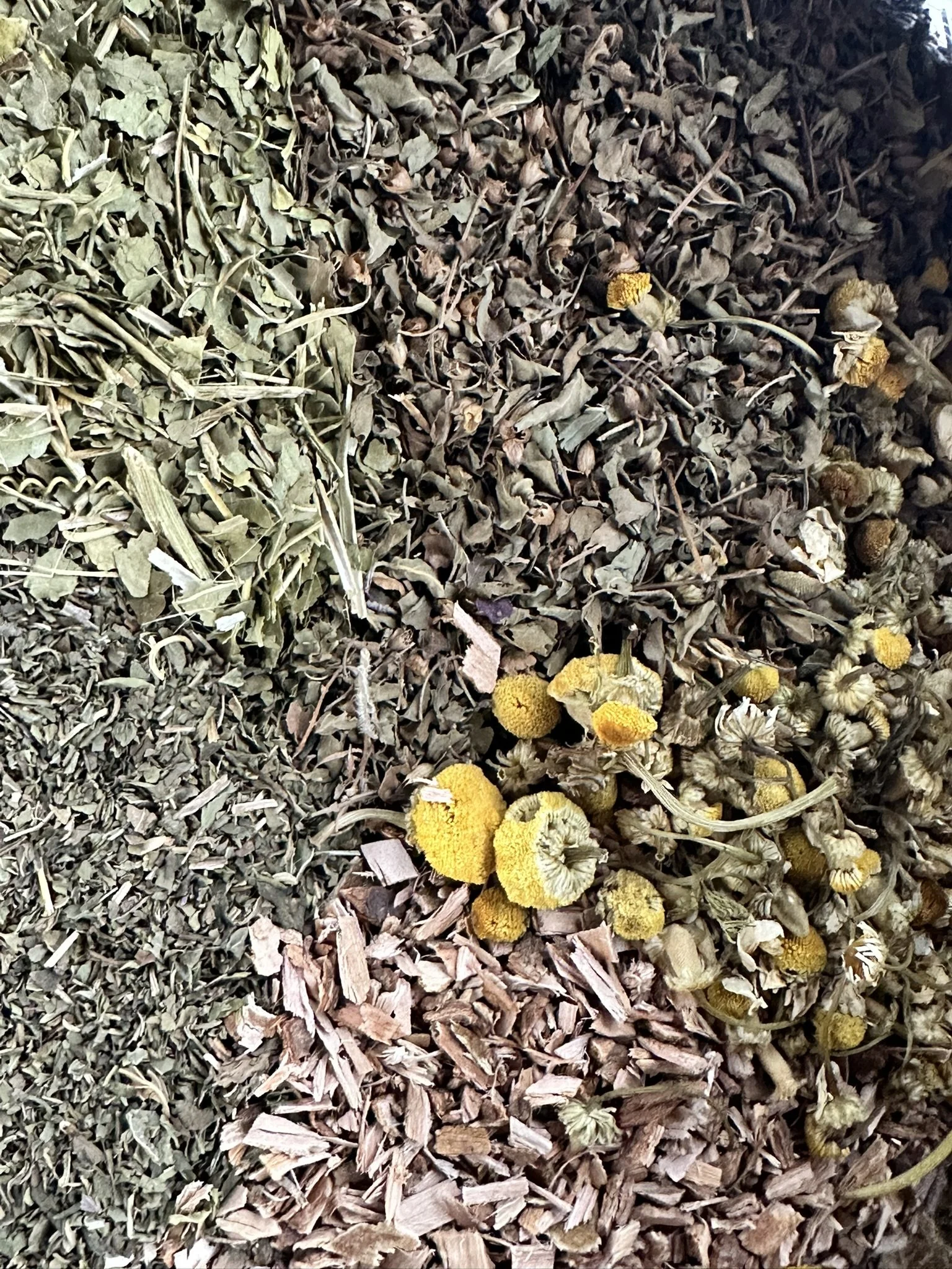 flexivility & focus1.1.JPEG