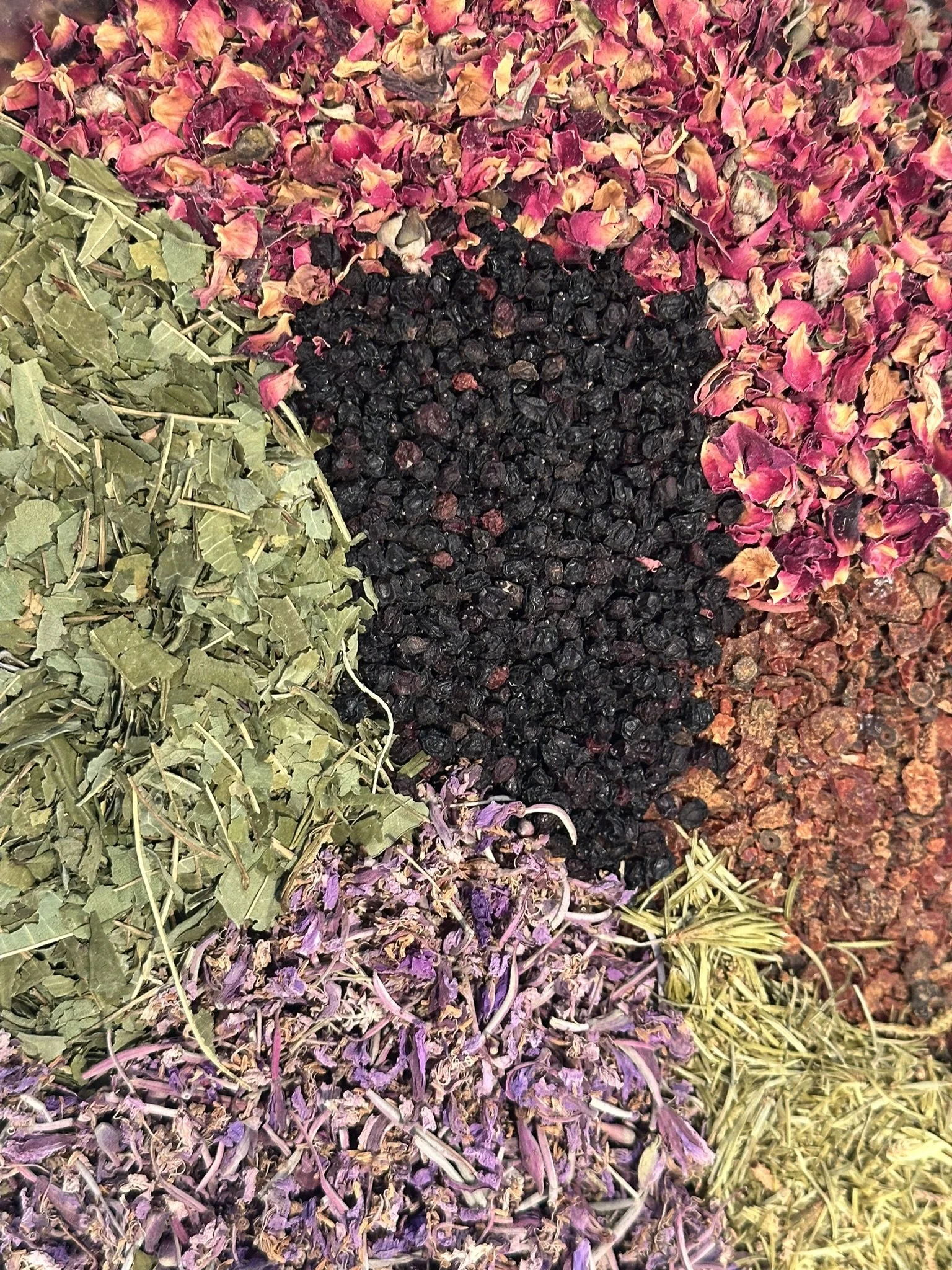 sitka by the sea.JPEG