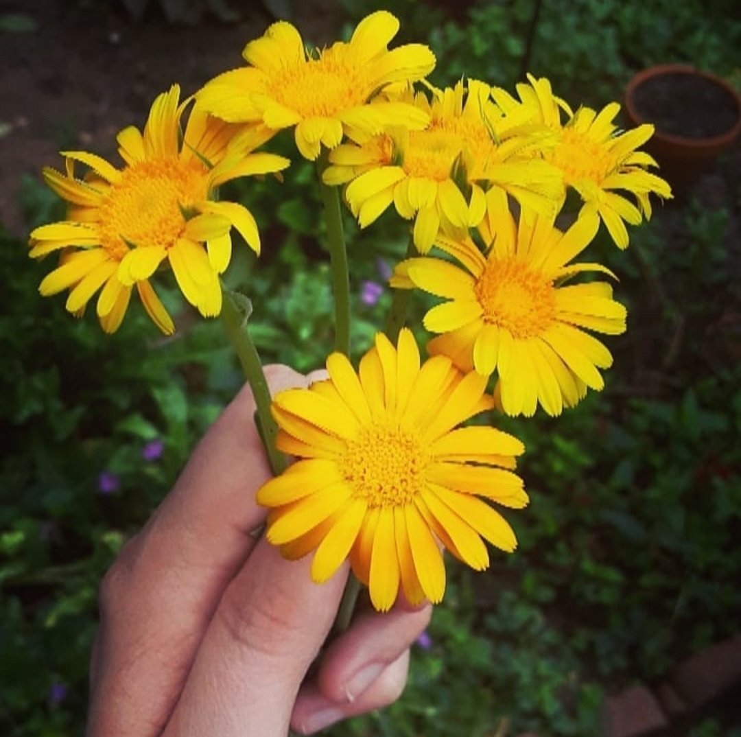 Screenshot_20250720_173822_Instagram (1).jpg