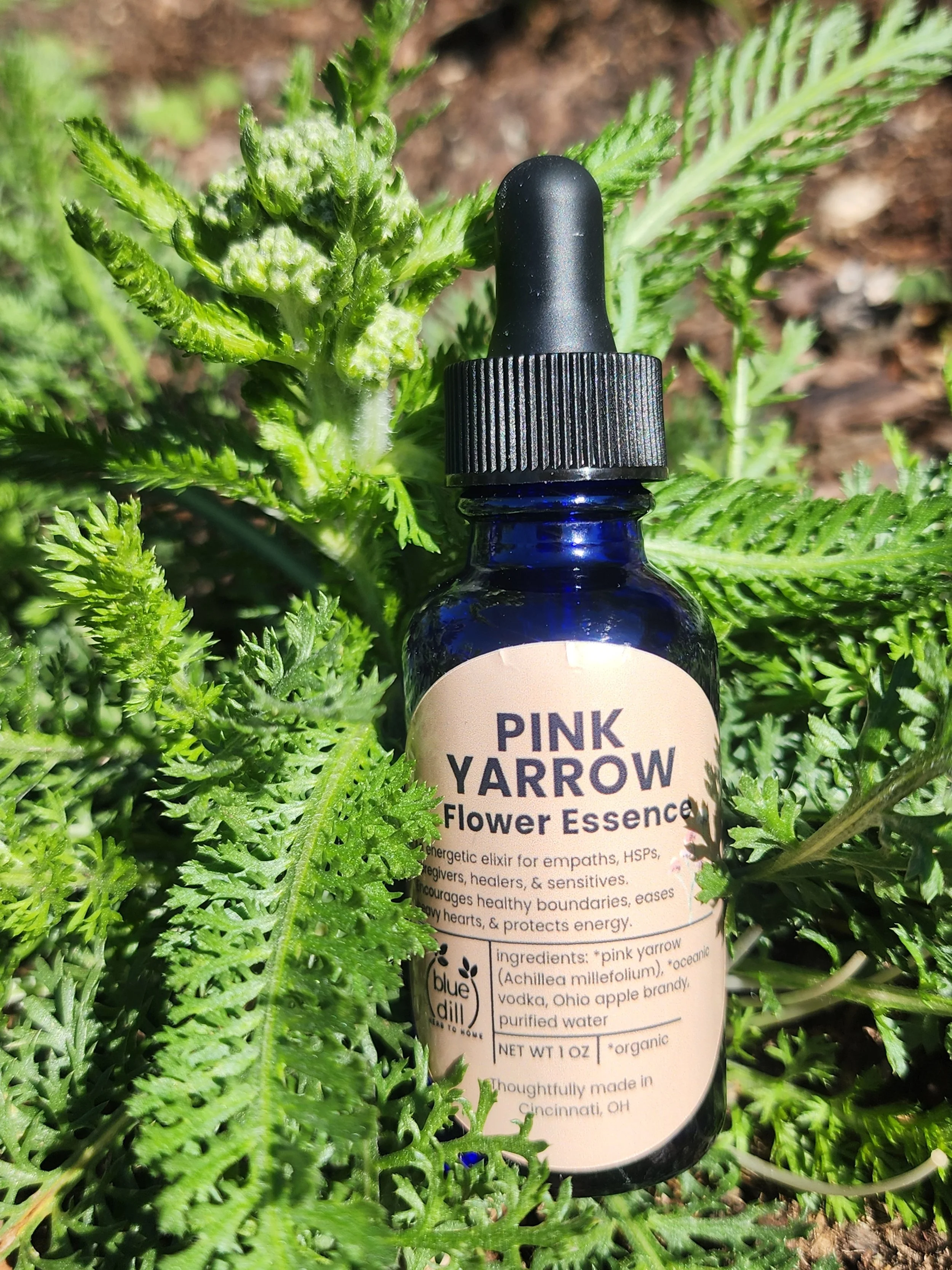 Pink Yarrow Flower Essence