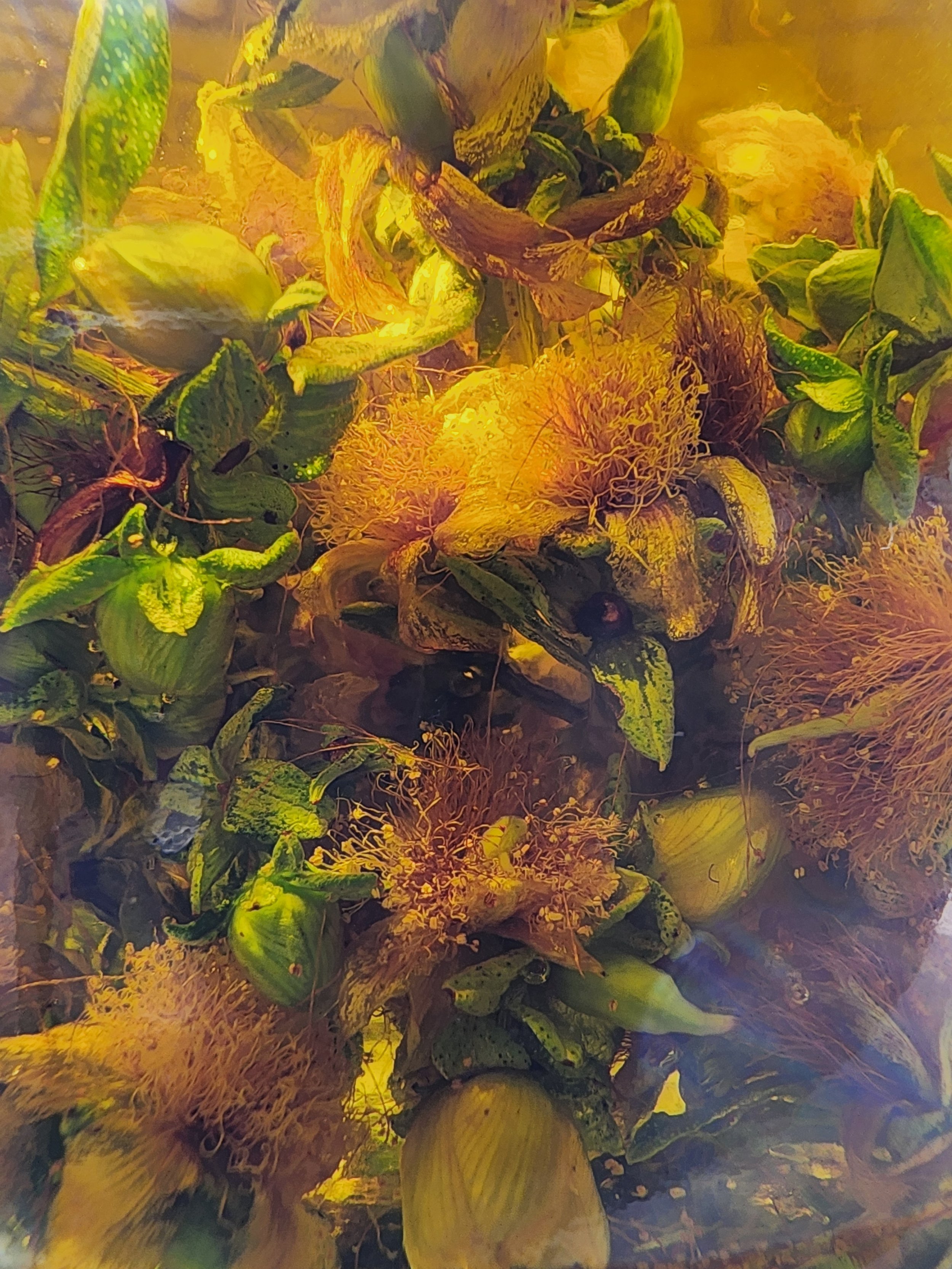 20250706_112443.jpg