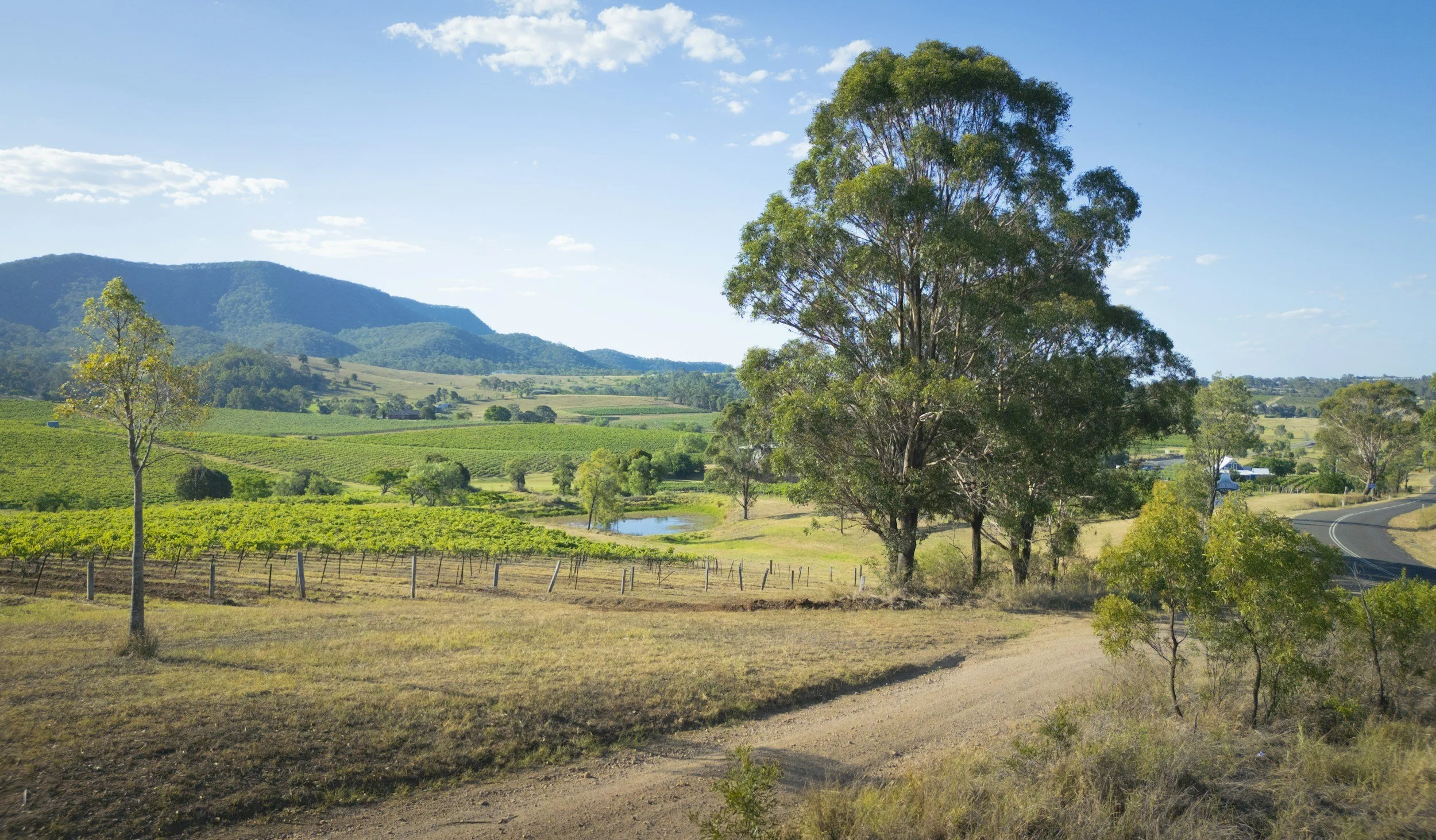Hunter Valley, New South Wales, Australia