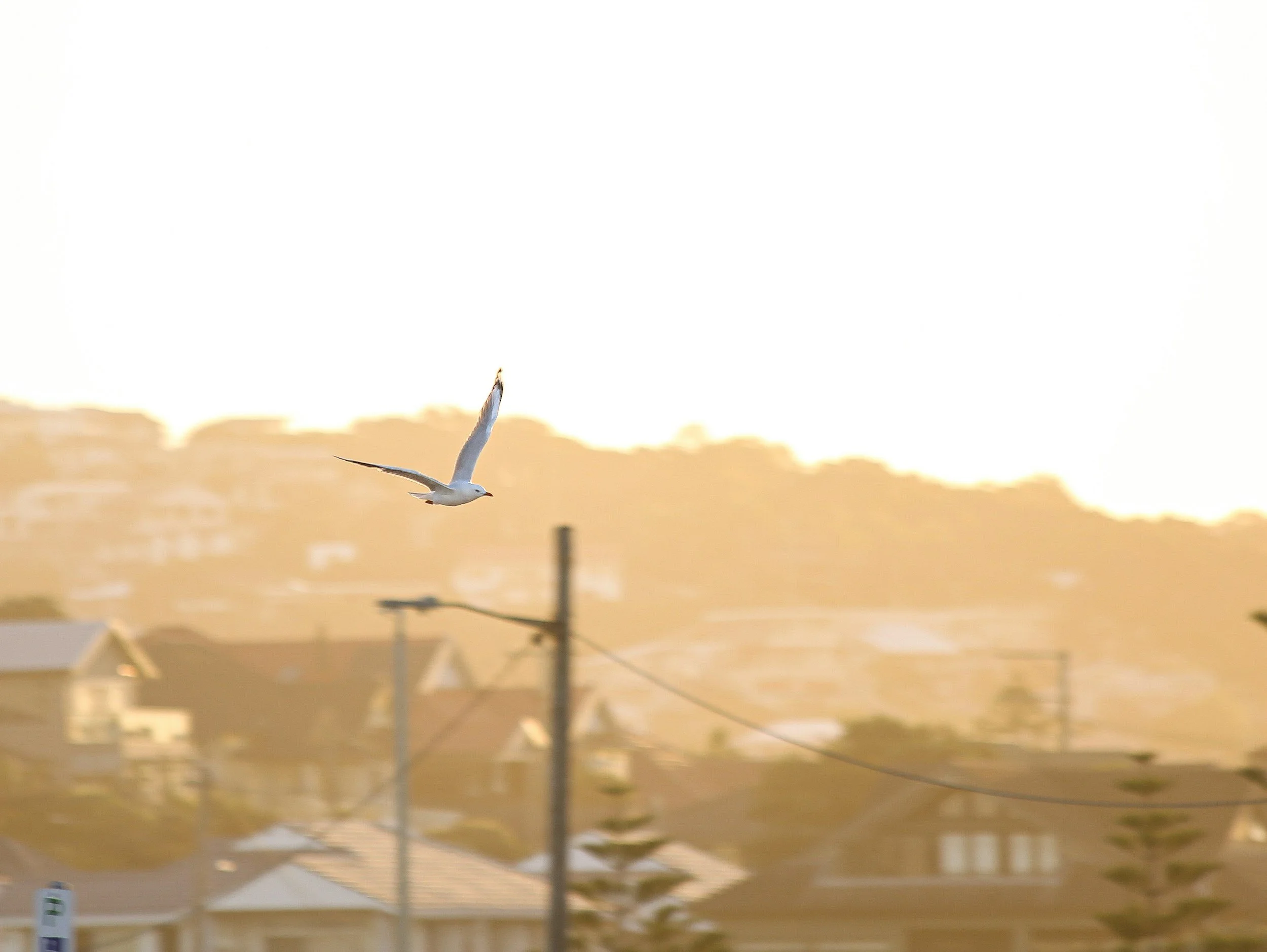 Newcastle, New South Wales, Australia