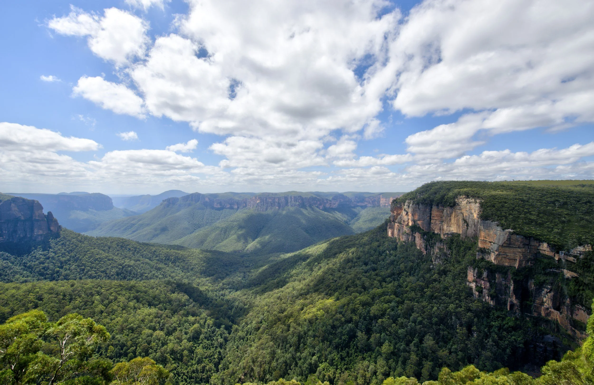 Blue Mountains in New South Wales, Australia