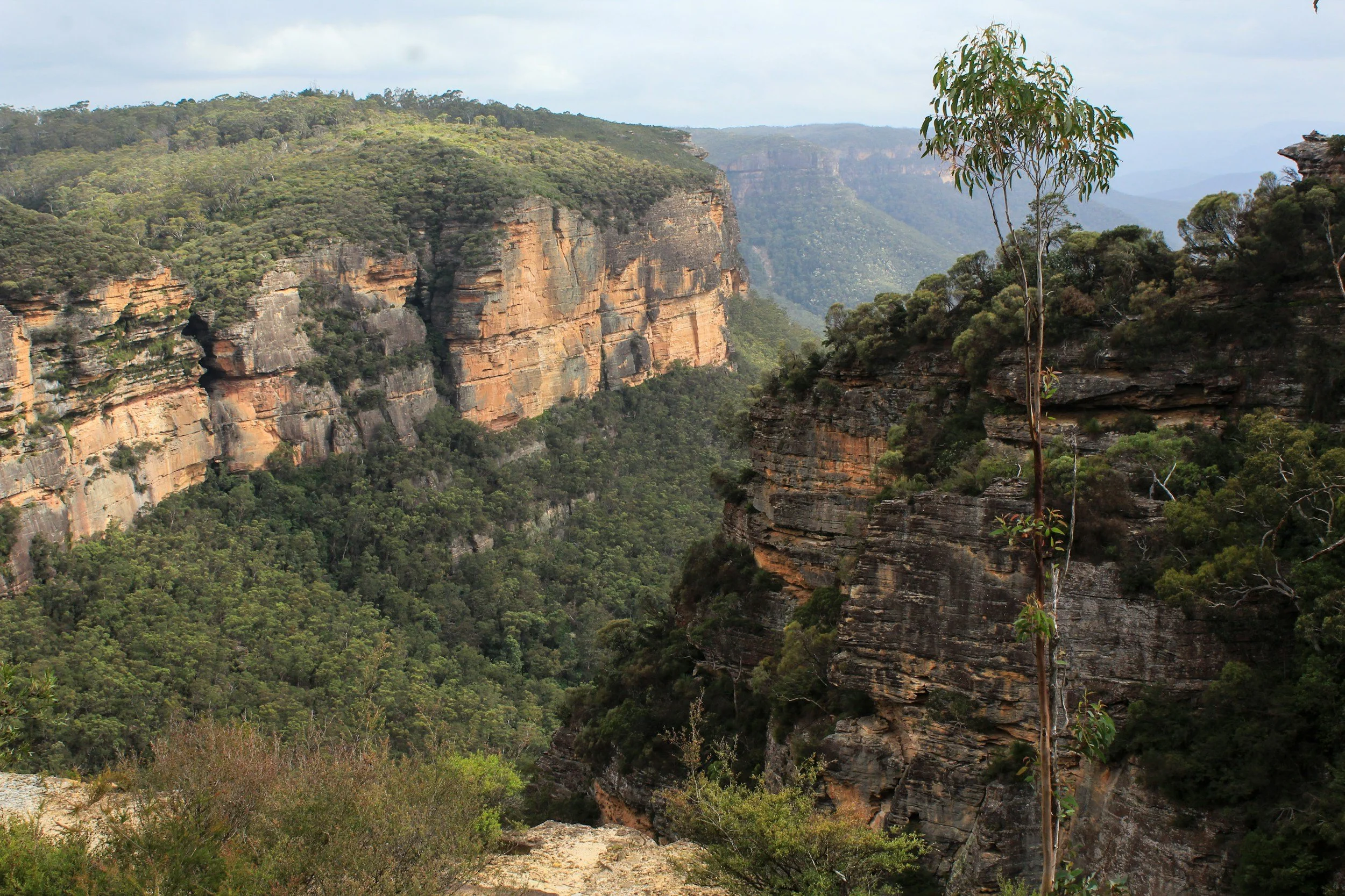 Blue Mountains in New South Wales, Australia