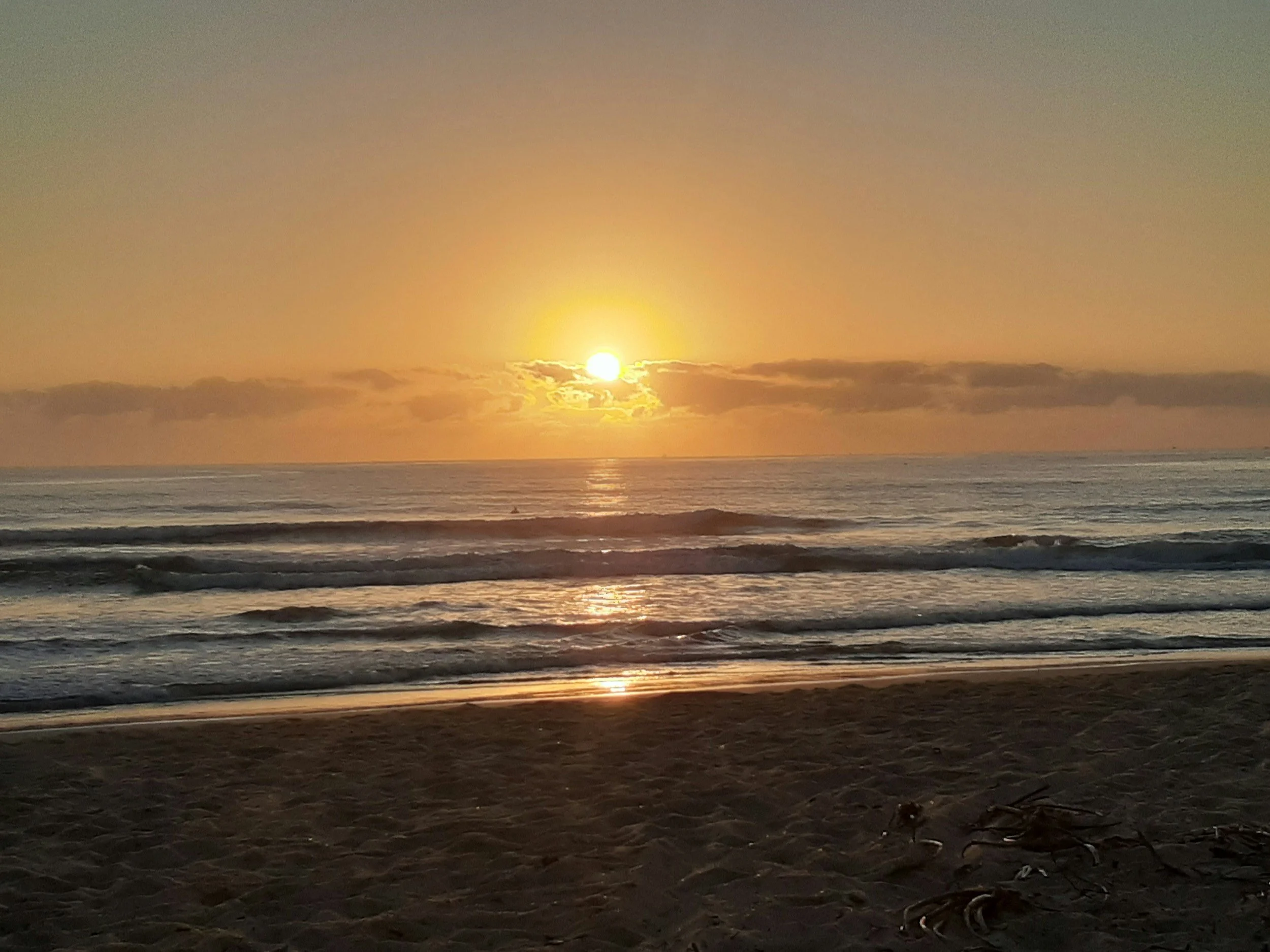 Sunshine Coast, Queensland, Australia