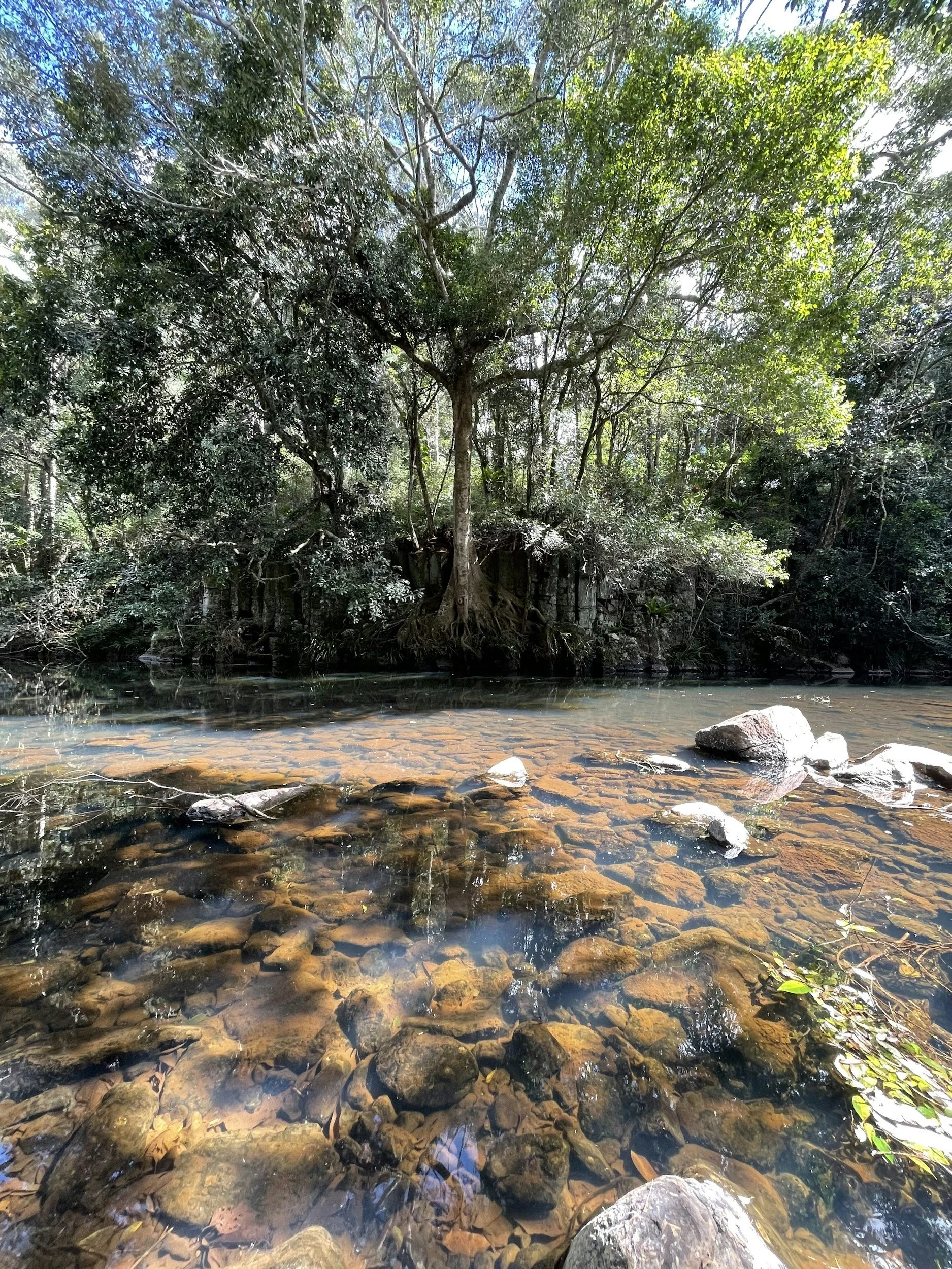 Sunshine Coast, Queensland, Australia