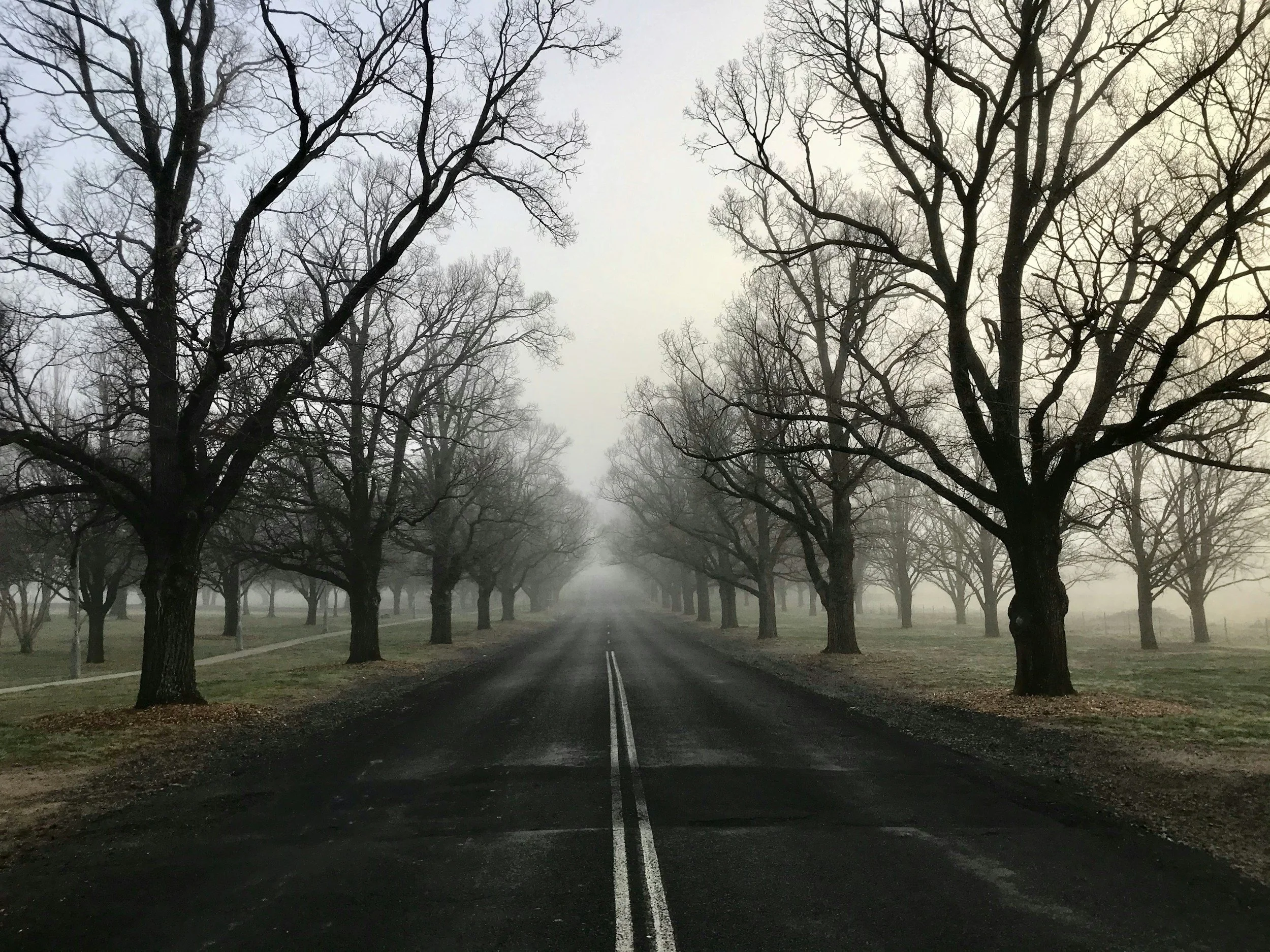 Armidale, New South Wales, Australia