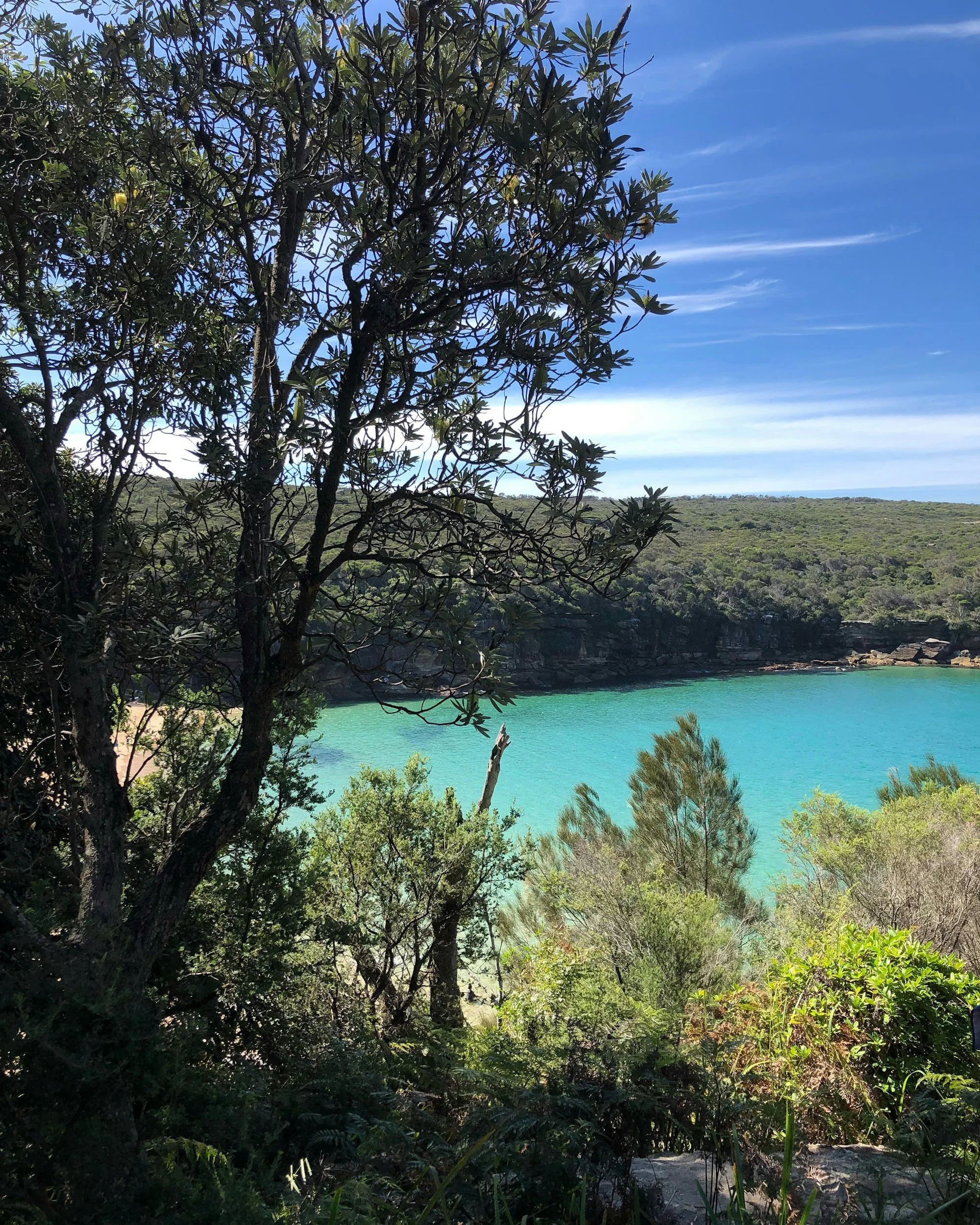 Royal National Park, New South Wales, Australia