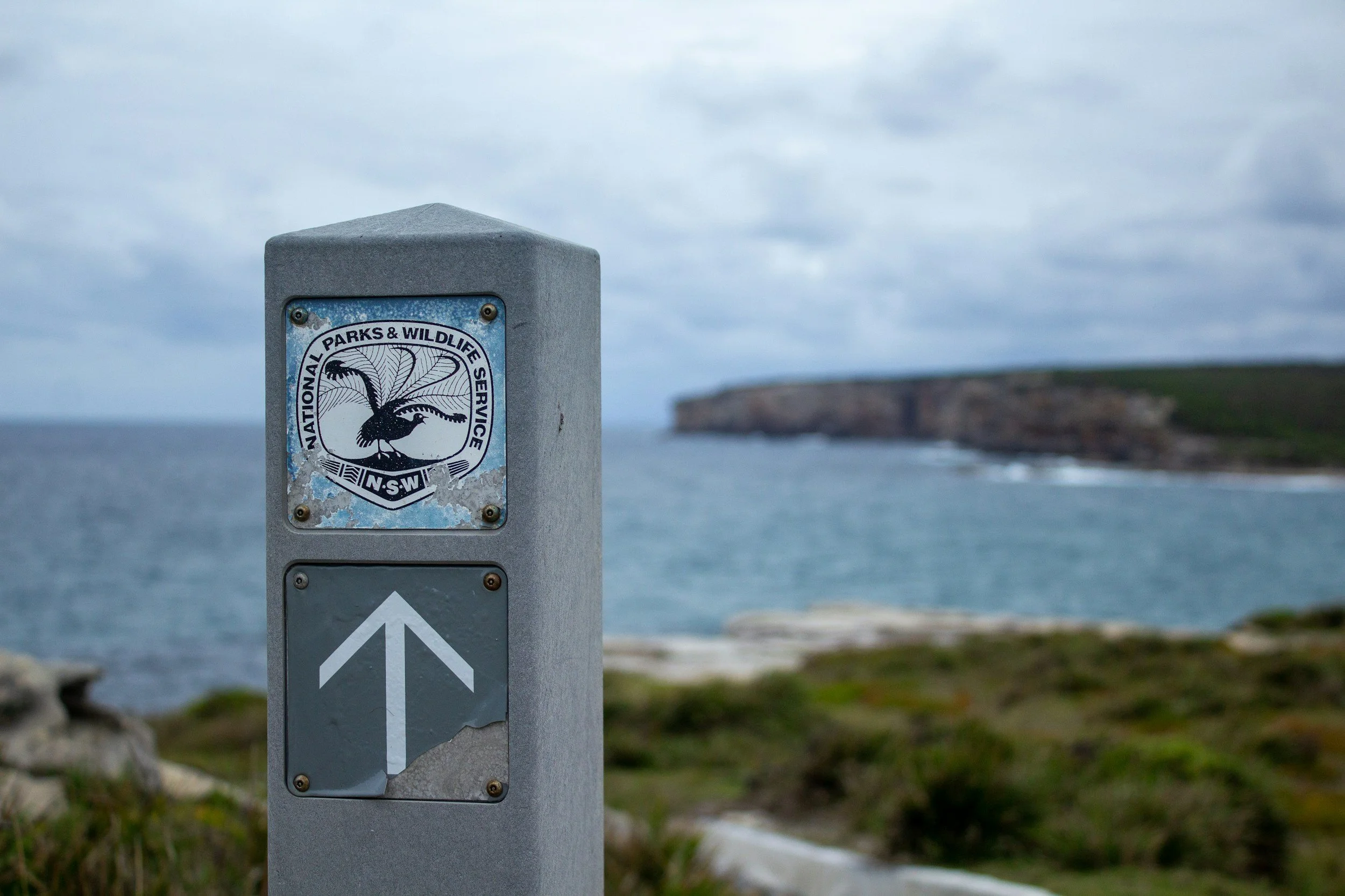 Royal National Park, New South Wales, Australia
