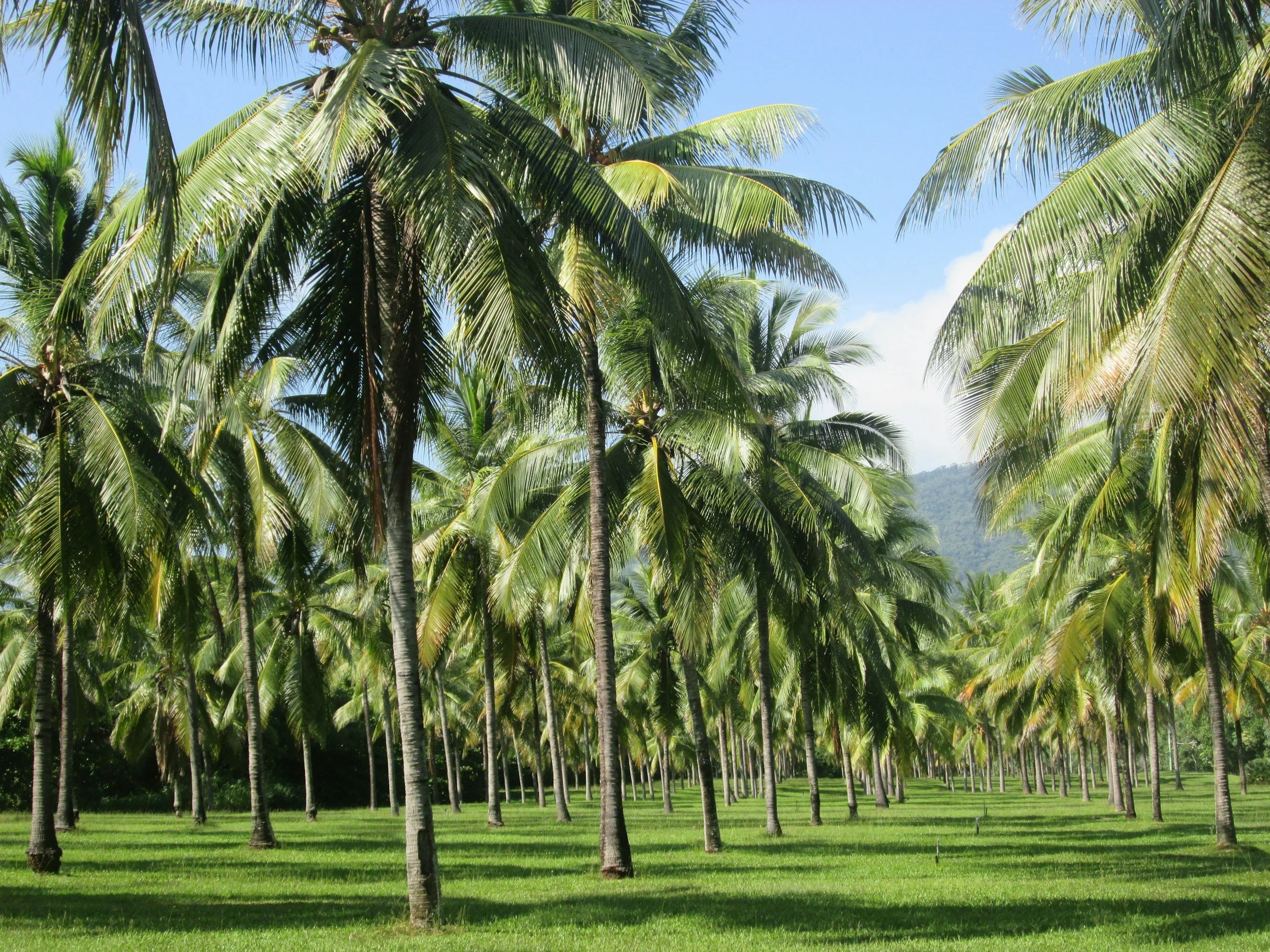 Port Douglas, Queensland, Australia