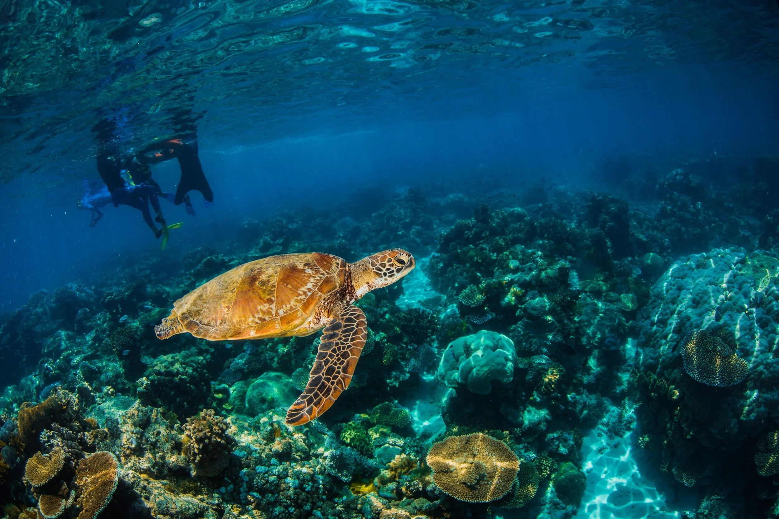 Port Douglas, Queensland, Australia