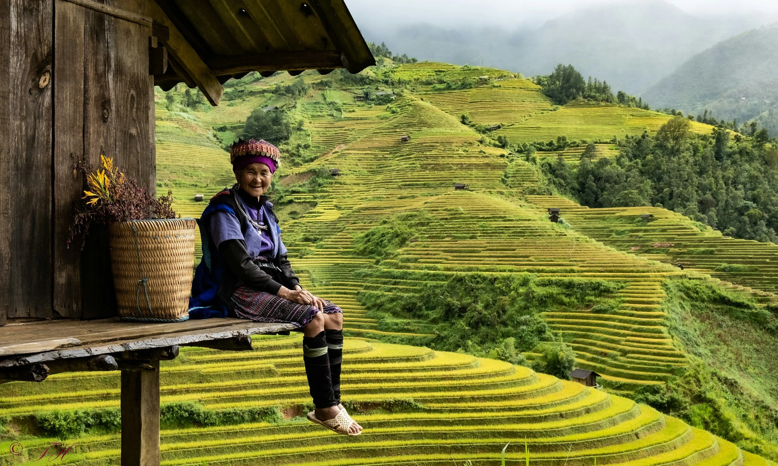 Rice terraces in Vietnam
