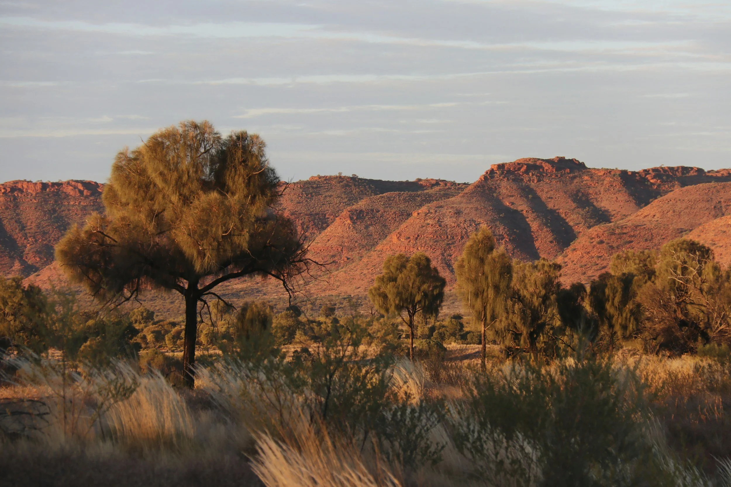 Northern Territory, Australia