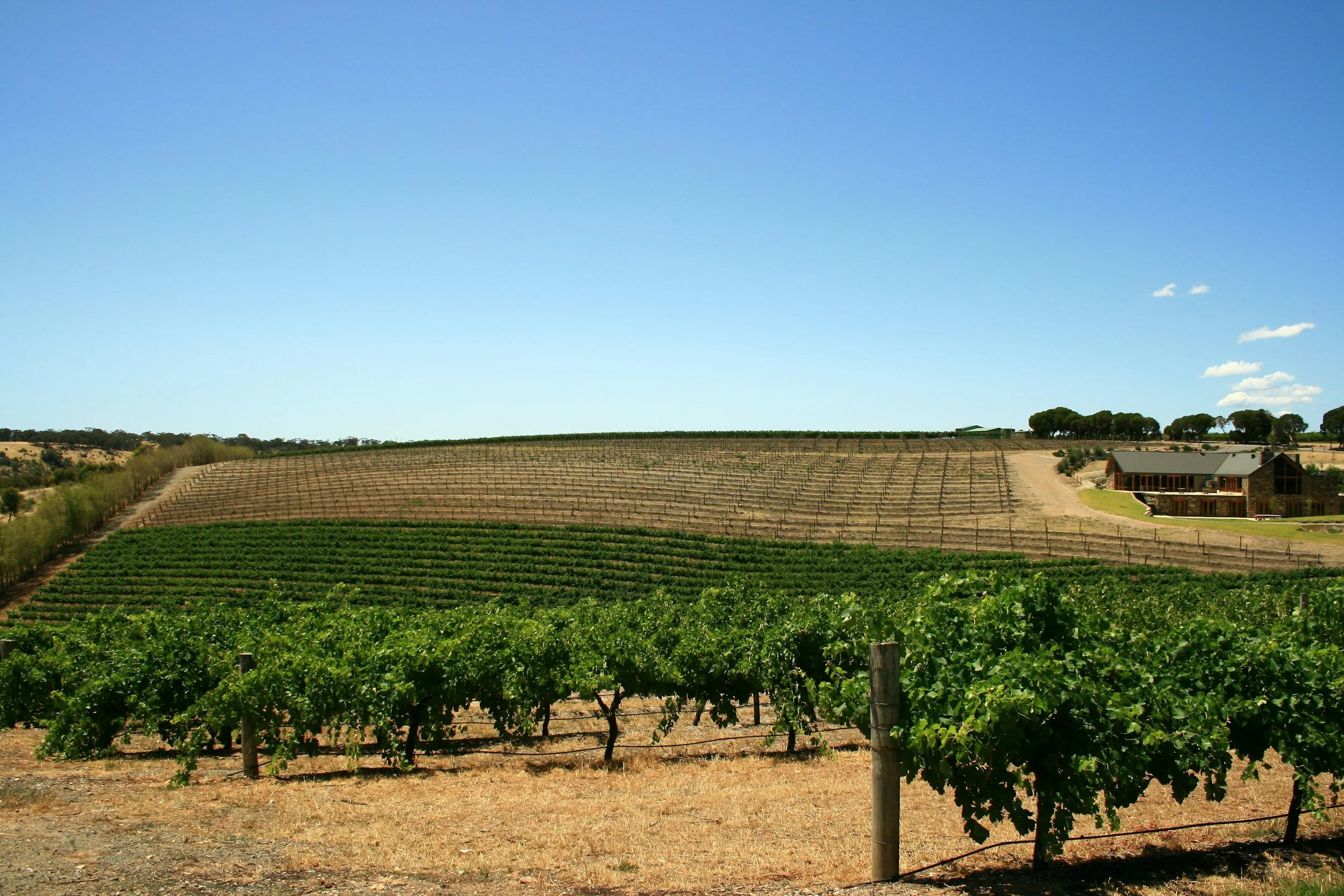 A winery in Barossa Valley near Adelaide, South Australia
