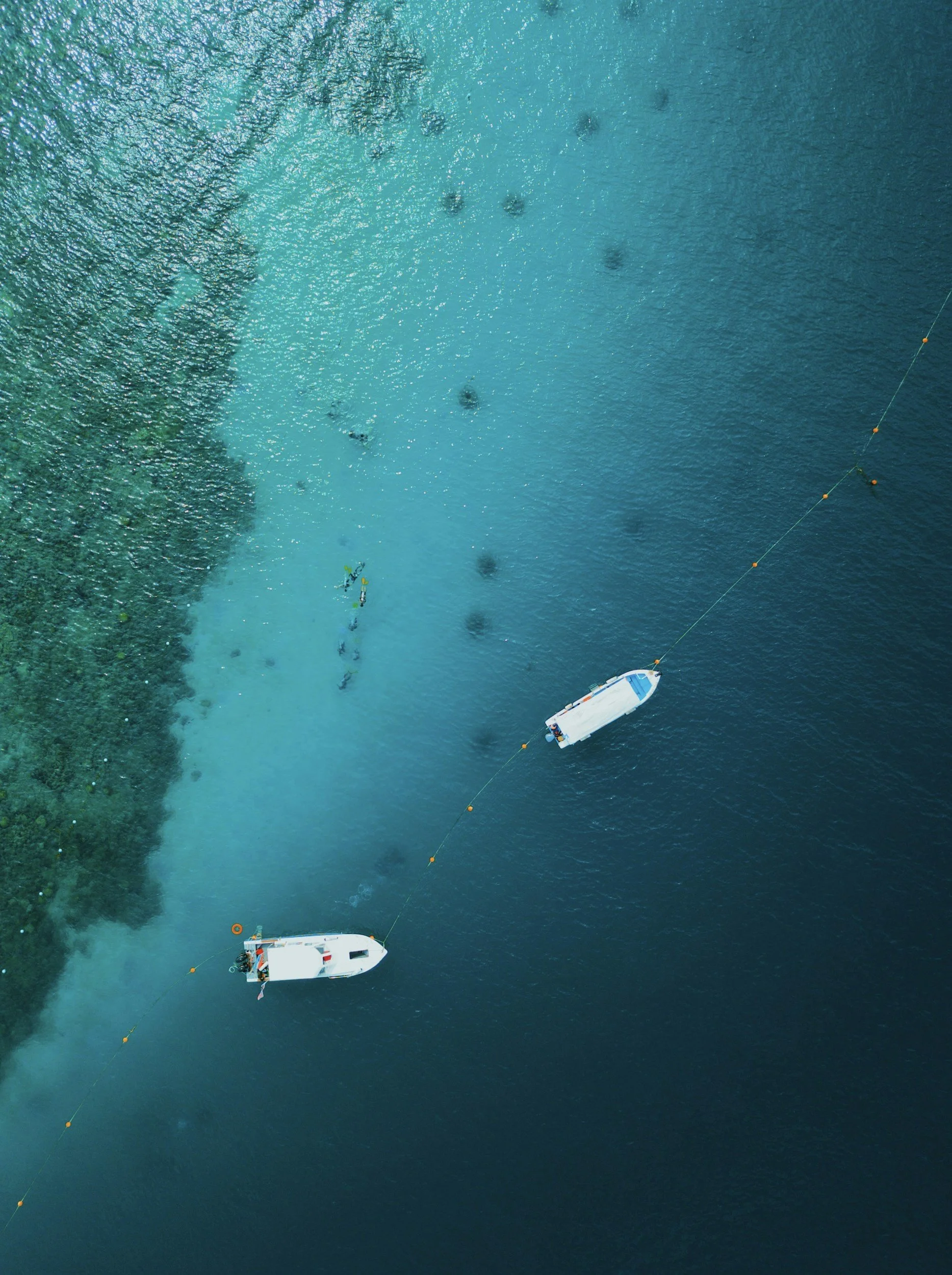 Dive boats over a coral reef in Borneo