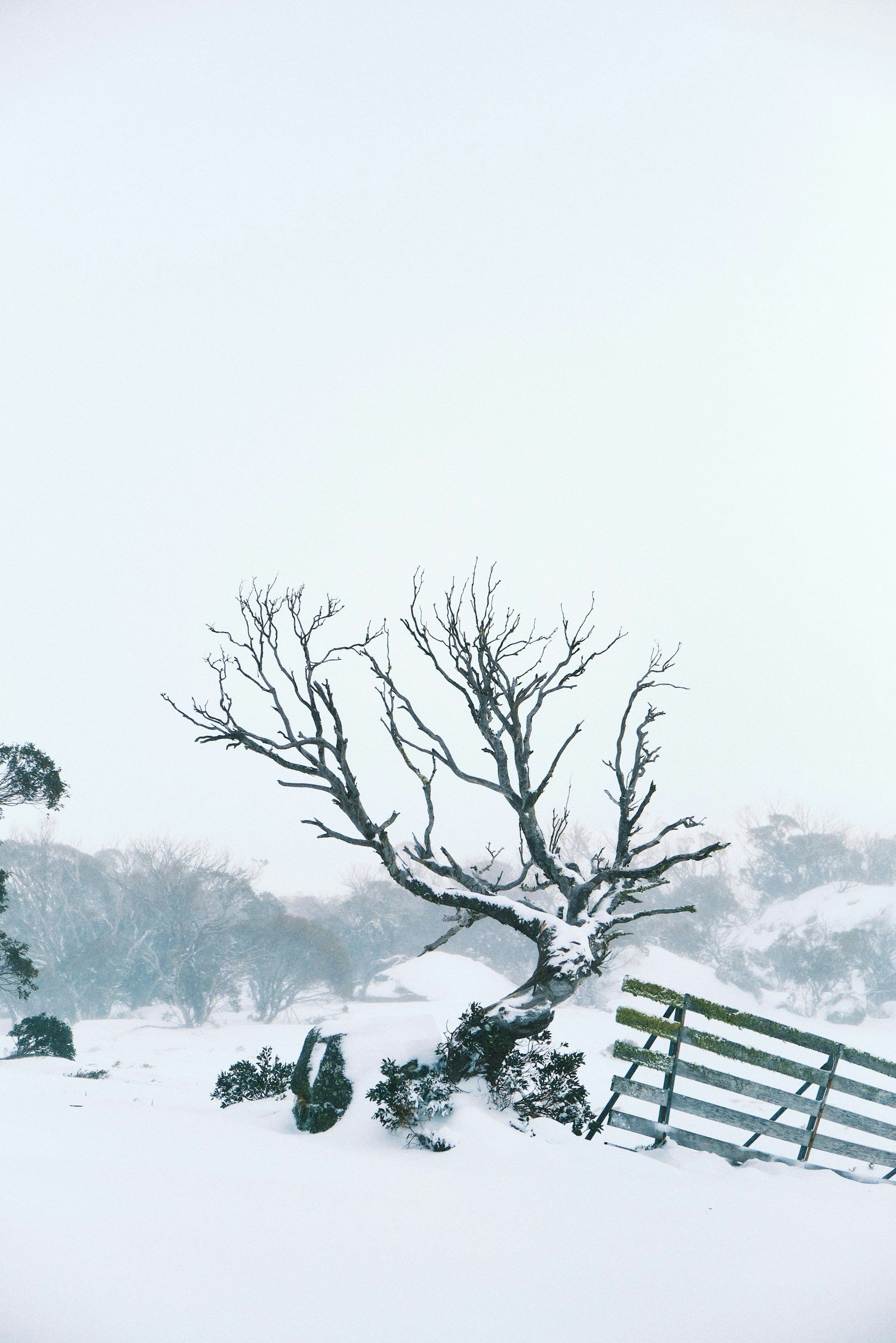 Perisher, Snowy Mountains, New South Wales