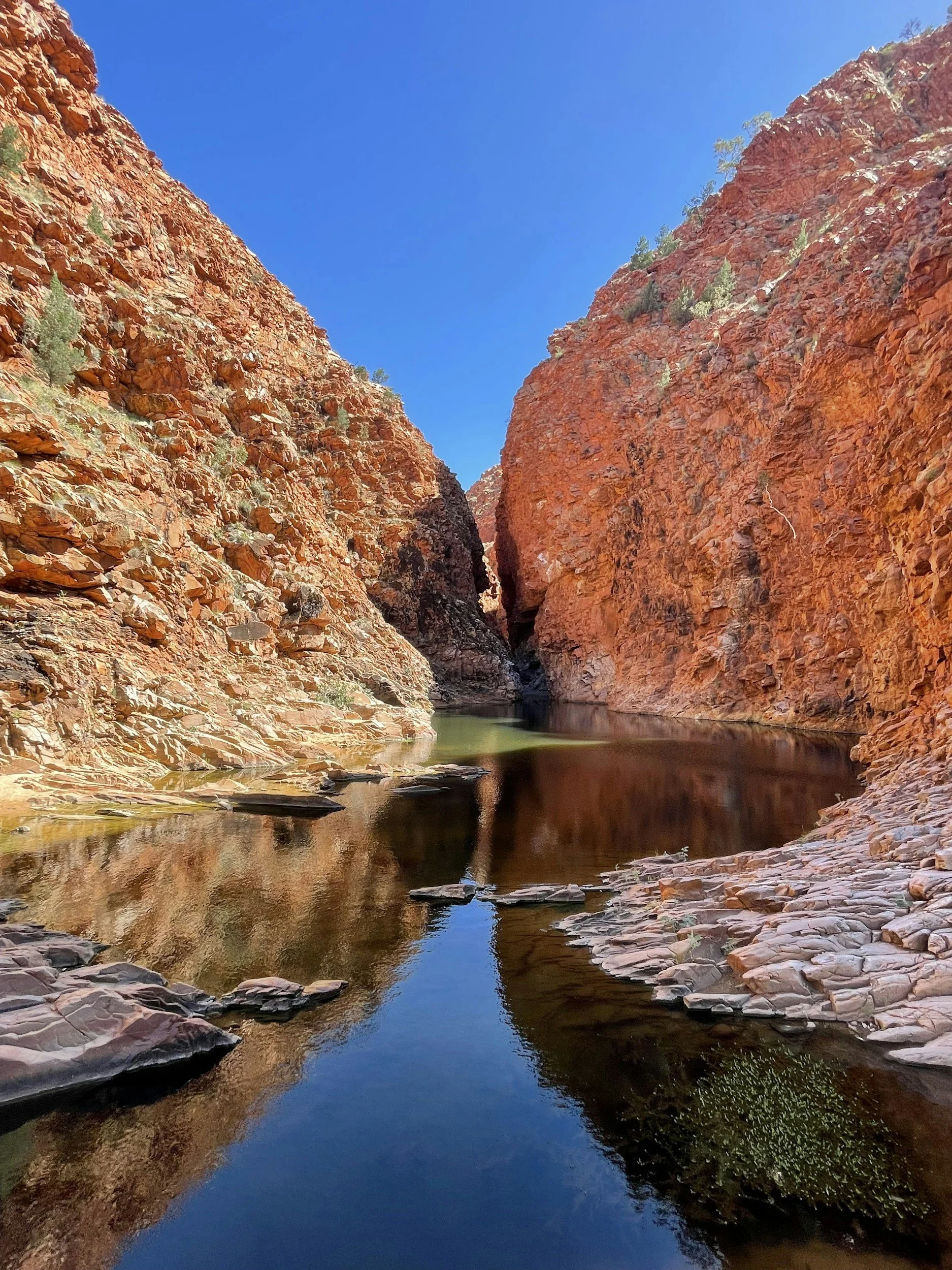 West MacDonnell Ranges near Alice Springs
