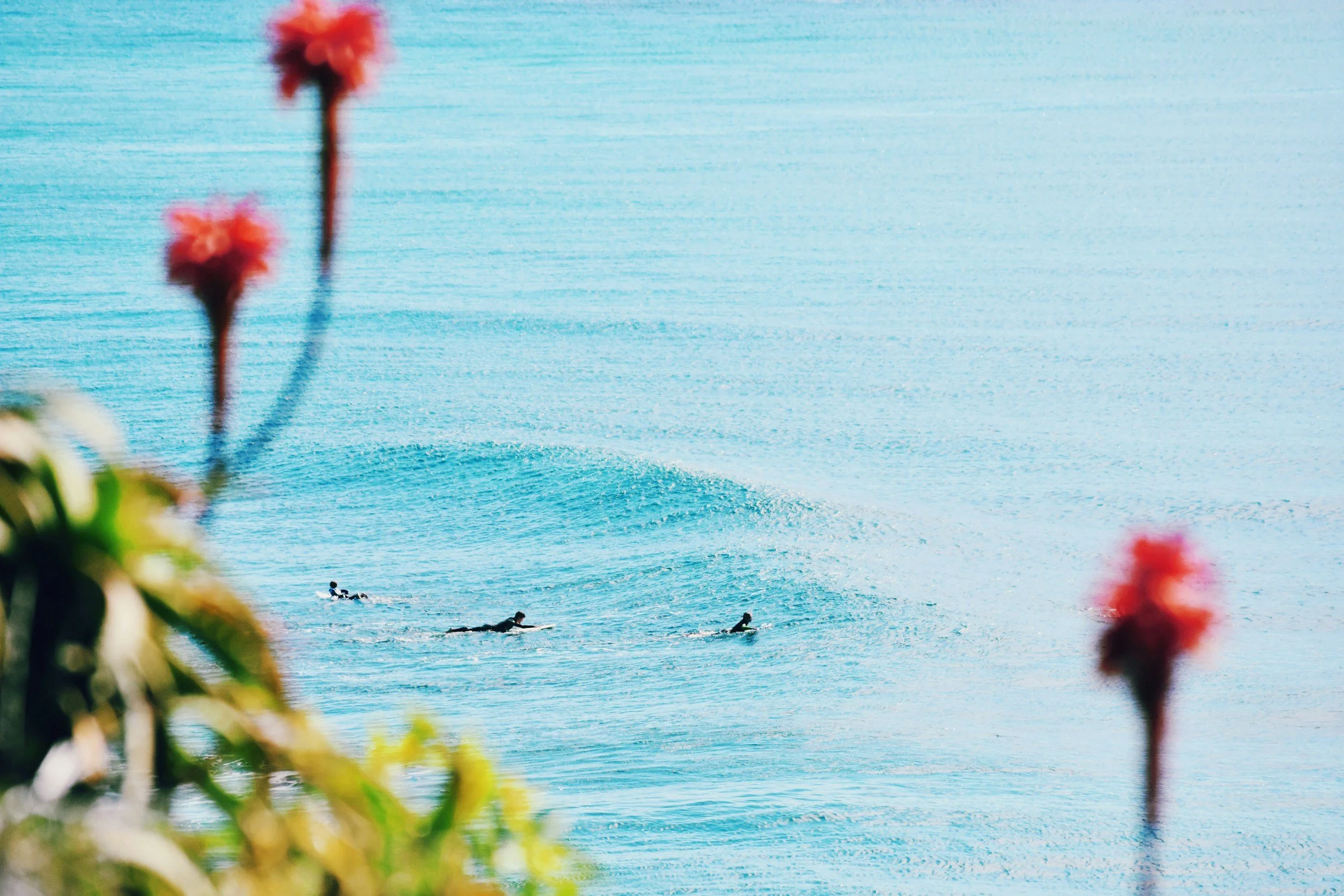 Surfers in the water off the Sunshine Coast, Queensland, Australia