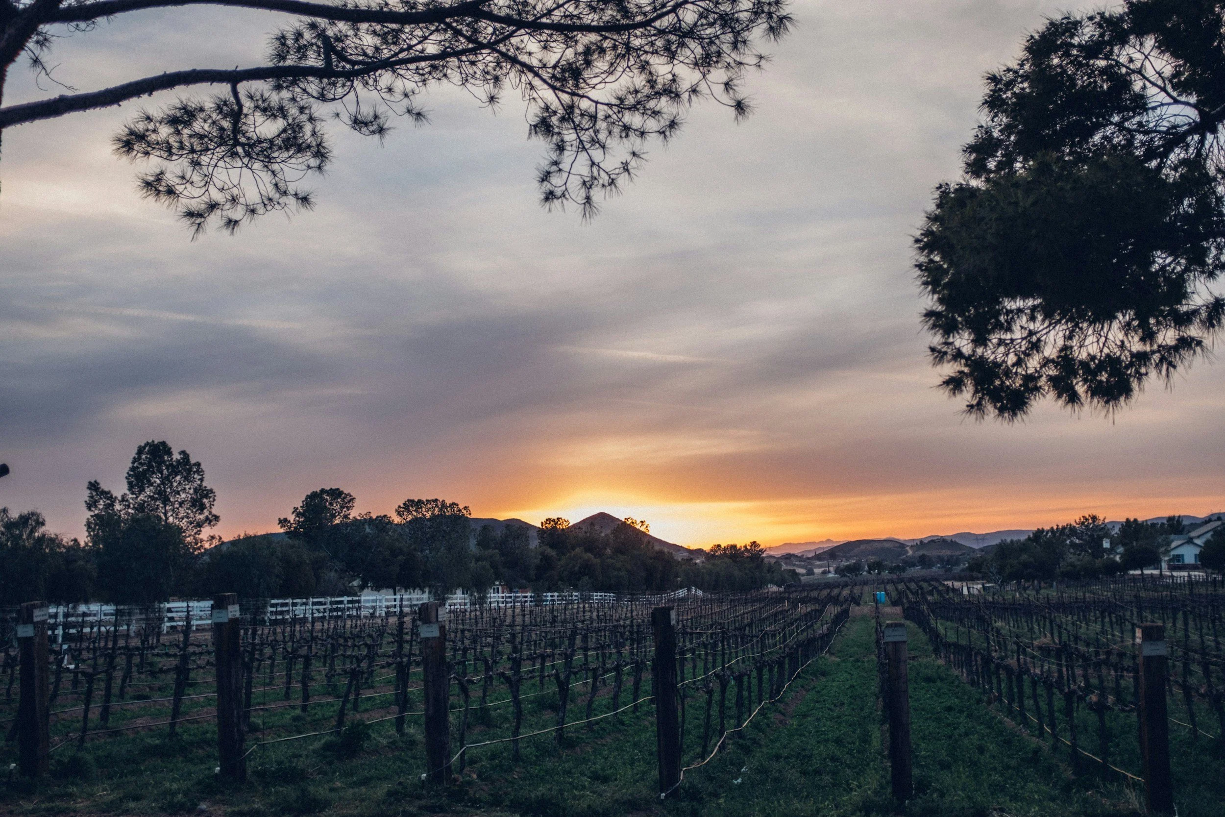 A winery in Orange, New South Wales, Australia