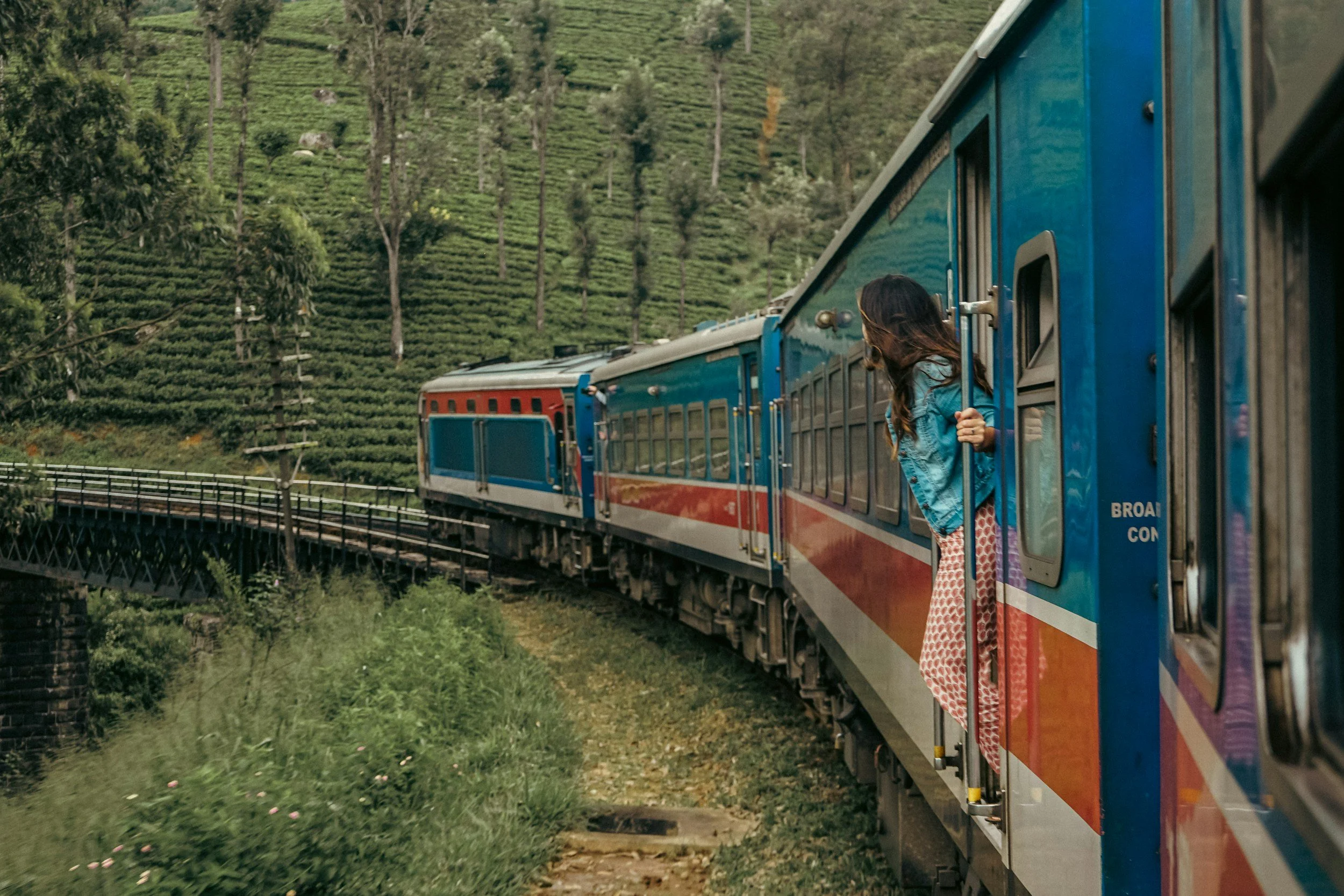A train in Sri Lanka's tea fields