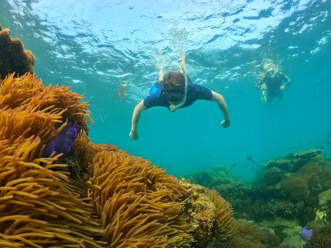 Snorkelling in Phu Quoc, Vietnam