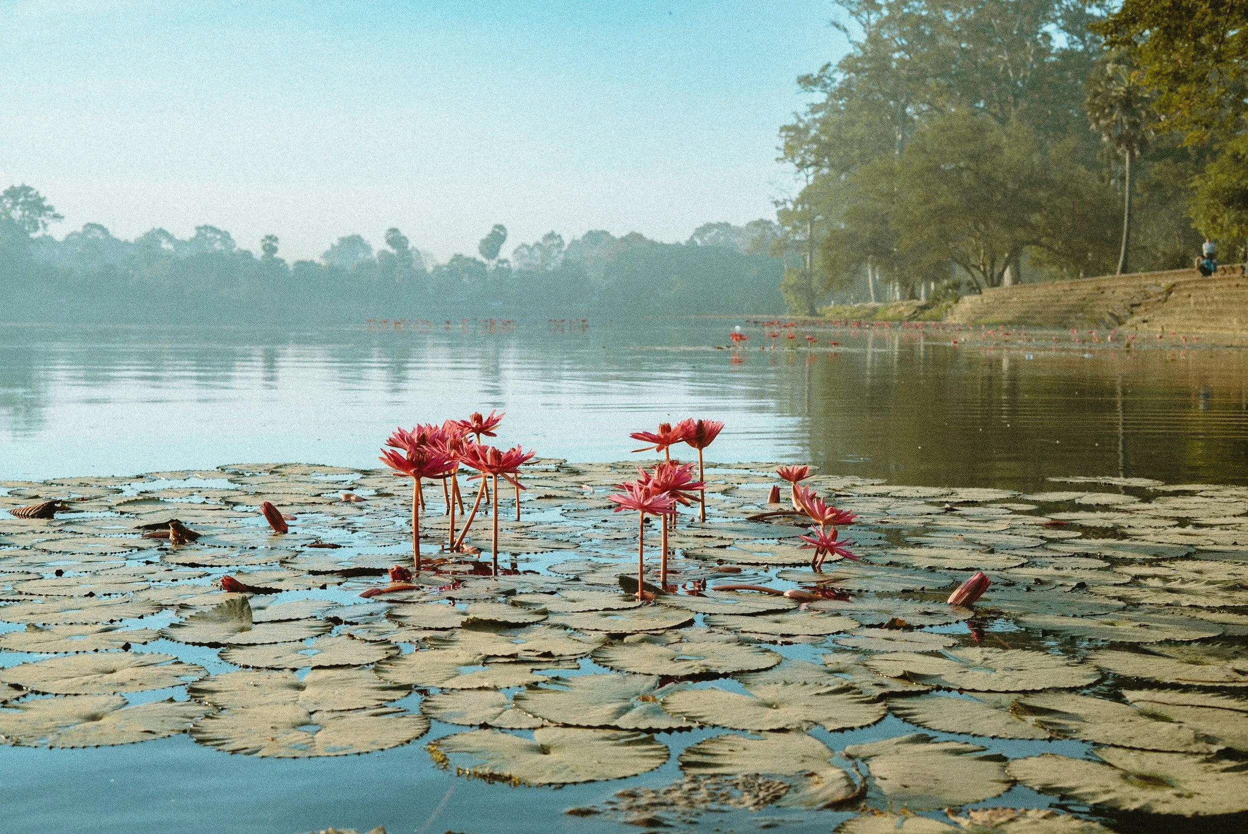 Cambodia