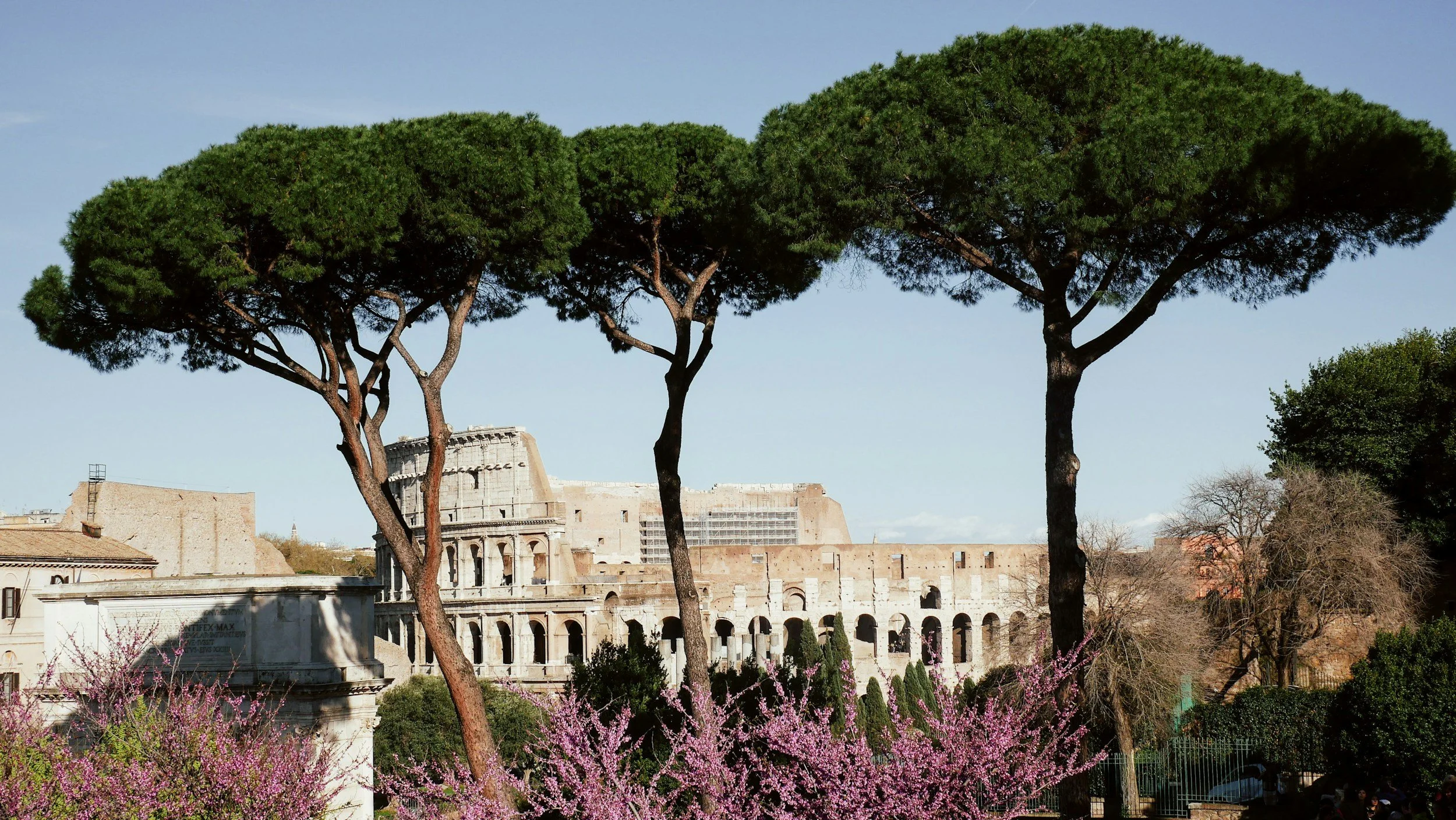 Rome in Springtime