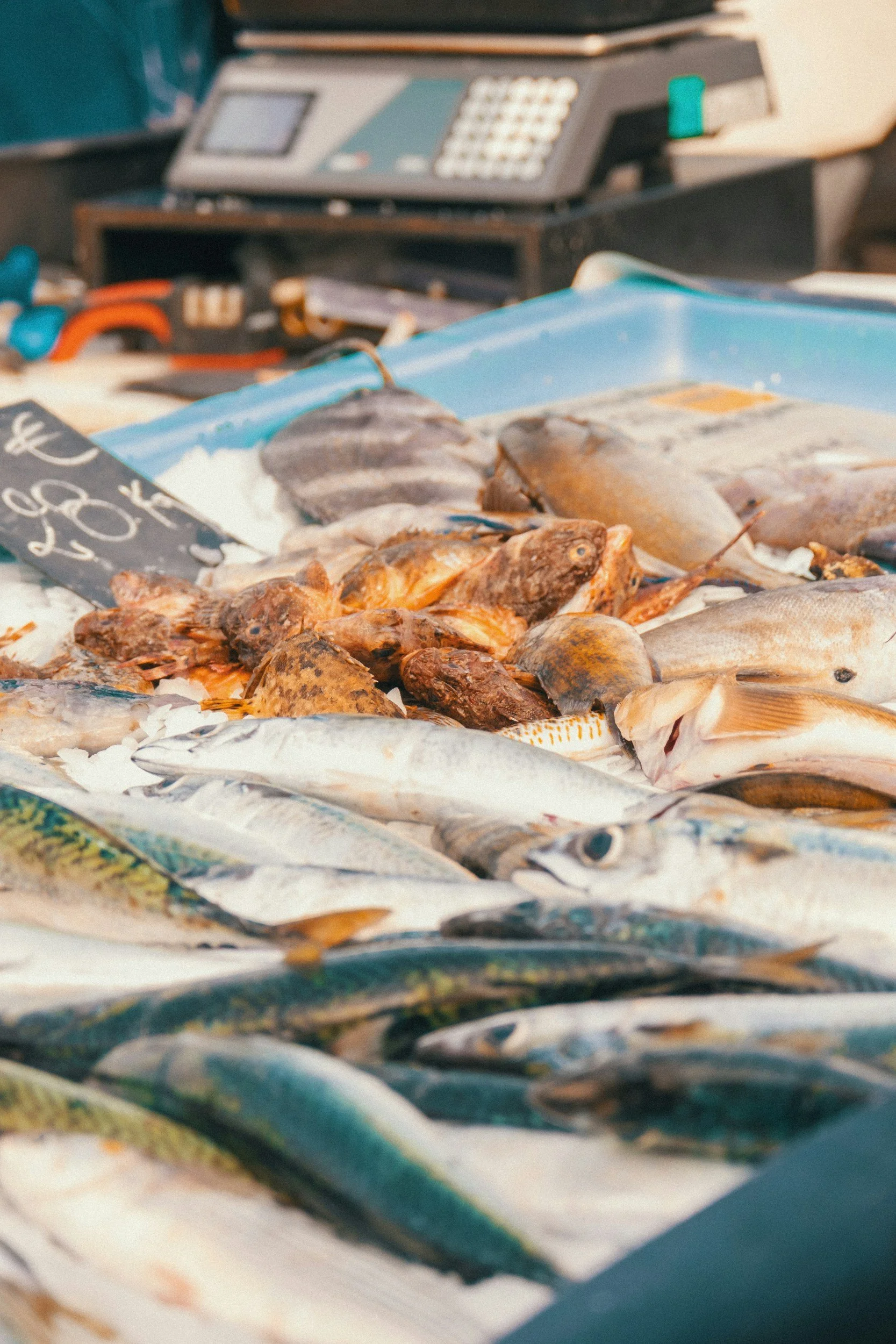A fish market in Marseille, France