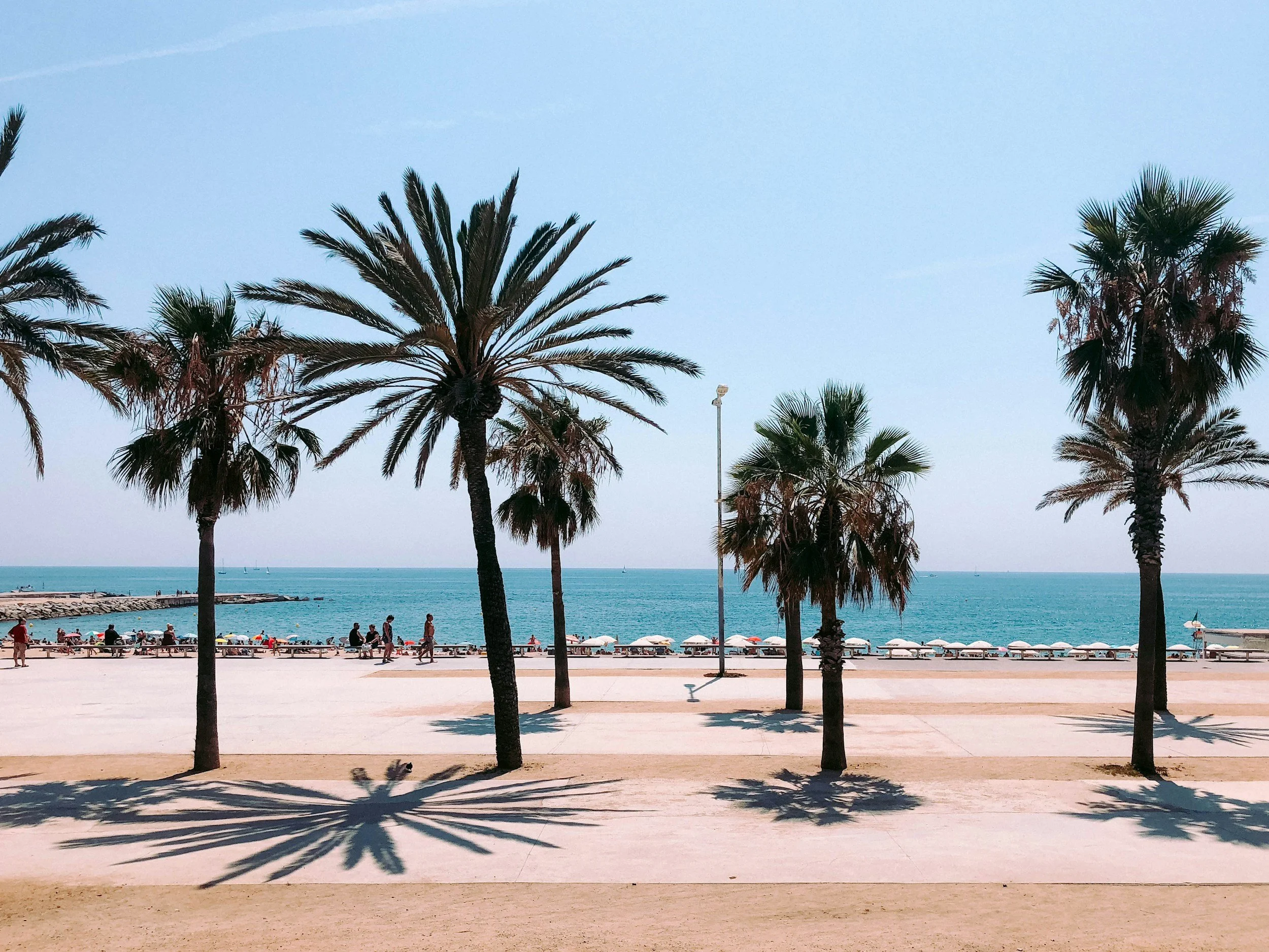 A beach in Barcelona, Spain