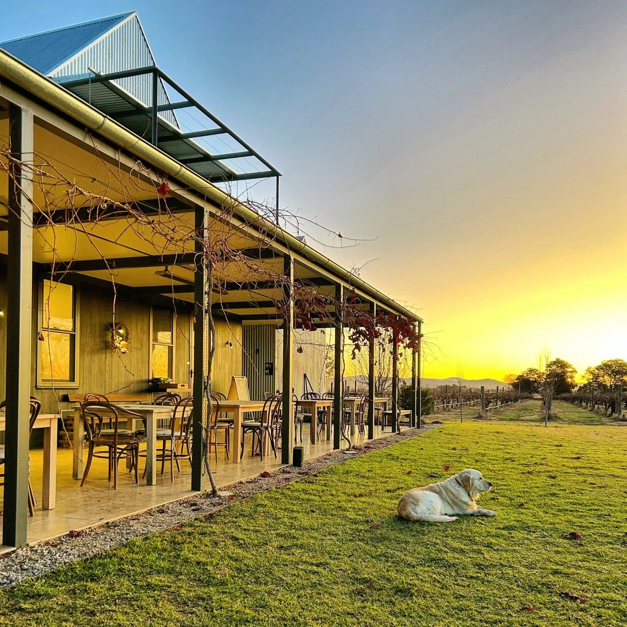 Mudgee, New South Wales, Australia