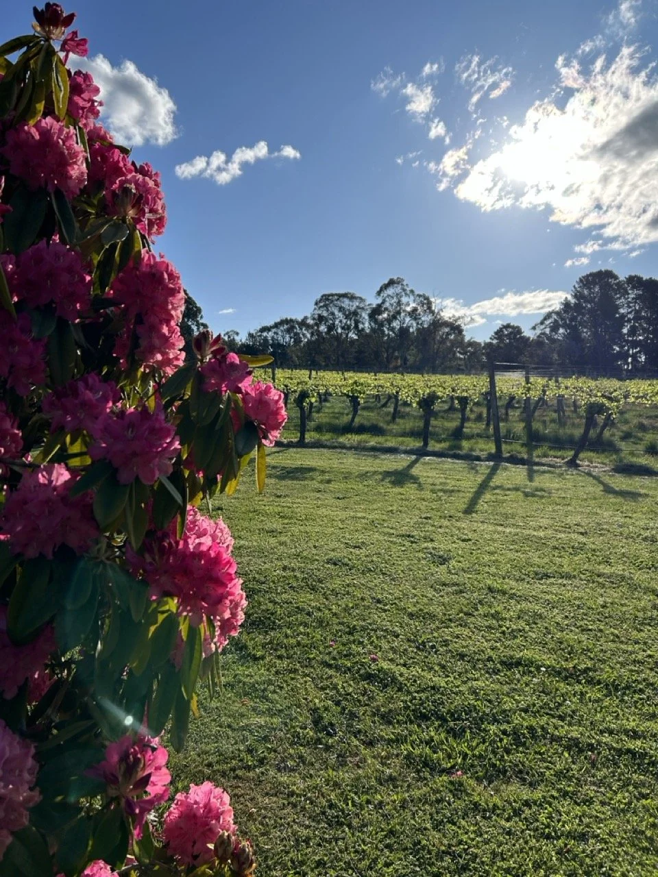 Orange, New South Wales, Australia